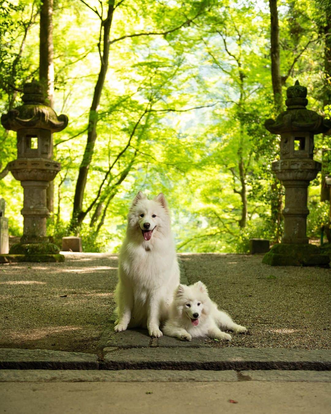 のインスタグラム：「🫶🏾😍 📸 @marcel_kato」