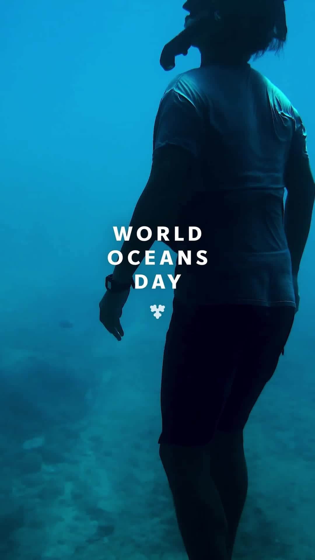 カールスバーグのインスタグラム：「For #WorldOceansDay we like to celebrate the oceans and  our initiatives that support the future of the oceans.」