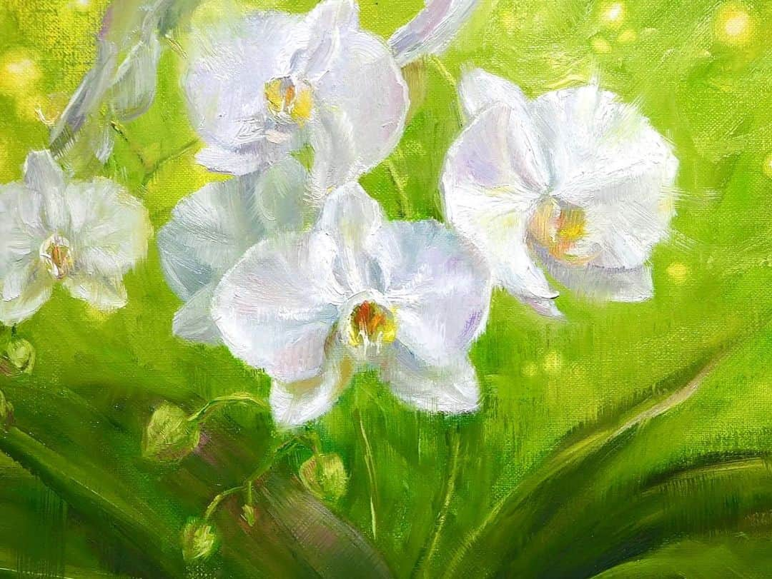 古賀陽子のインスタグラム：「#胡蝶蘭  #orchid   #油絵 #画家の日常 #絵のある暮らし #人物画 #アーティスト #神戸 #西宮 #japaneseartist #oilpainting #古賀陽子 #yokokoga」