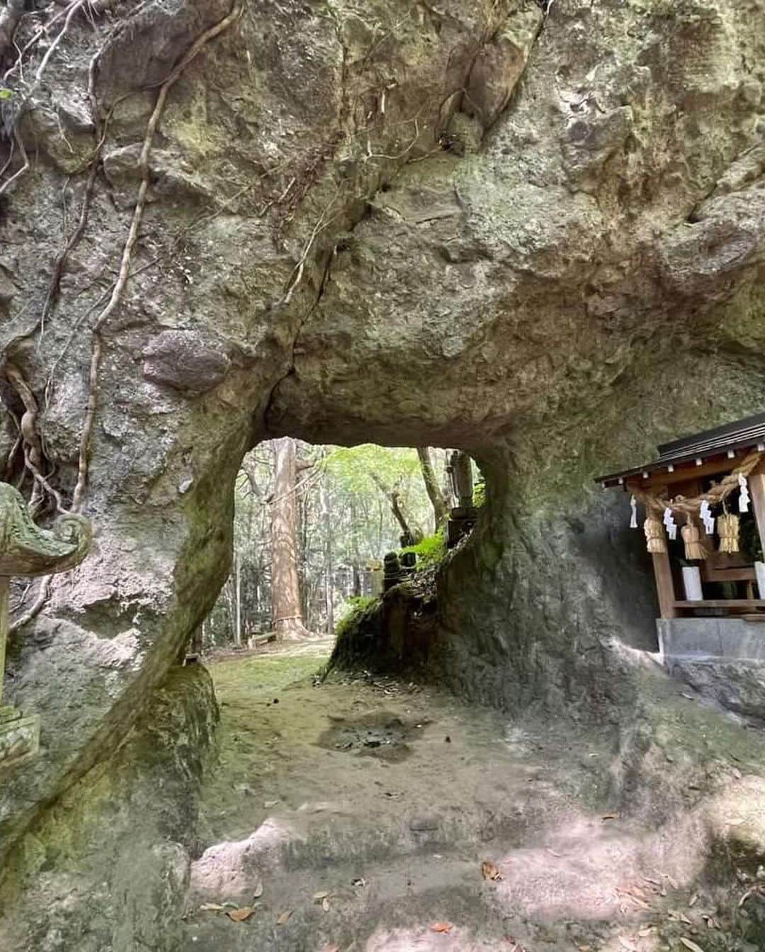 中島浩二さんのインスタグラム写真 - (中島浩二Instagram)「霊験あらたかだすーー😊  リスナーから送られてきた画像だすが、どうやら東峰村宝珠山にある岩屋神社みたいで。  小石原に器を買いには行きますが、こんなに素晴らしい神社があったとは😊  今度、お弁当持って、登山がてら行きたくなっただすーー😊  神聖な画像は、身も心も引き締まるだすーー‼️  素晴らしい、画像、ありがとうだすーー😊  #小石原　#福岡神社　#岩屋神社」6月8日 19時51分 - koji_nakajiii