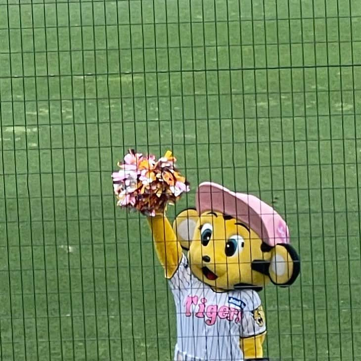 小瀬黎奈さんのインスタグラム写真 - (小瀬黎奈Instagram)「🐯⚾️🍿❤︎」6月8日 20時51分 - 922_reina