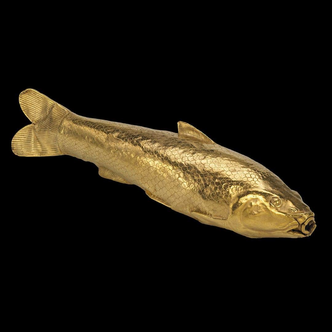 大英博物館のインスタグラム：「When you think of something that smells wonderful, a fish might not be the first thing that comes to mind 👃 🐟  🌊 We’re sharing this glittering fish flask for #WorldOceanDay. Specifically, the species represented is Turkestan barbel, native to the Oxus river and Caspian Sea.   Despite its smelly exterior, this fish vessel would have been used to hold costly perfumed oil which was used by Achaemenid nobles to style their beards and ringlets, keeping them shiny and fragrant.  Bad hair days were a serious social misstep in the Achaemenid empire. Elite Persian men grew their hair long, and well-crafted styles were considered supreme markers of status ✂🧔  ✨ Come and see this fragrant fish amongst other golden treasures in our #LuxuryAndPowerExhibition, open until 13 August – get your ticket via the link in our bio  🔎 Flask in the shape of a fish. Gold, from Takht-i Kuwad in Tajikistan, around 500–300 BC.   #BritishMuseum #Fish #OceansMW」