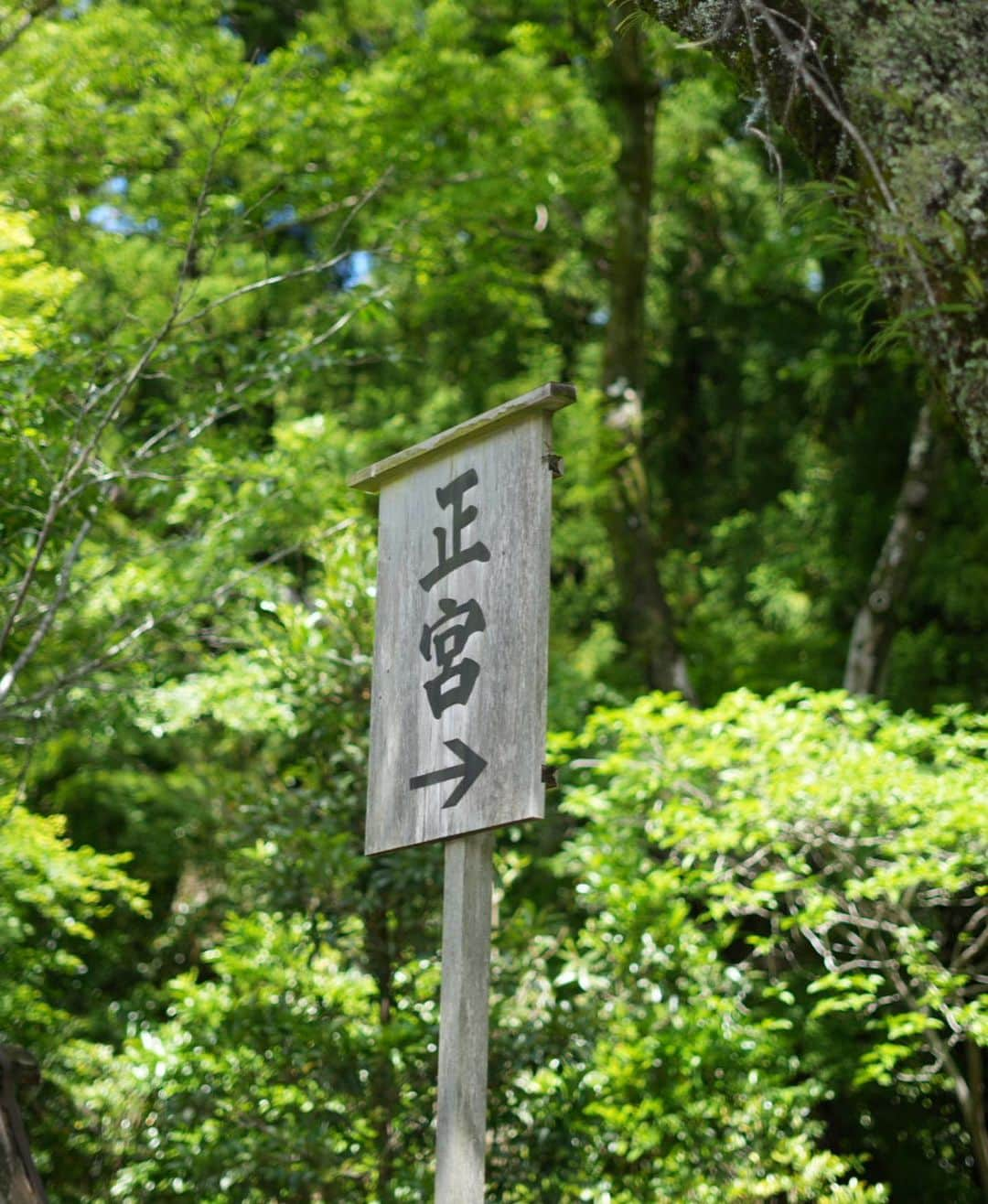 倉田瑠夏さんのインスタグラム写真 - (倉田瑠夏Instagram)「#伊勢神宮 ⛩️  #いい福みつけ旅 #ロケ #伊勢神宮おかげ横丁 #お伊勢参り #お伊勢さん #伊勢 #ig_japan #explorejapan #unknownjapan #japanAdventure #photography #photooftheday #isejingu #おかげ横丁 #赤福 #赤福氷 #おかげ横丁食べ歩き #おかげ横丁グルメ #🍧 #⛩️ #📷」6月8日 21時19分 - ruka.kurata