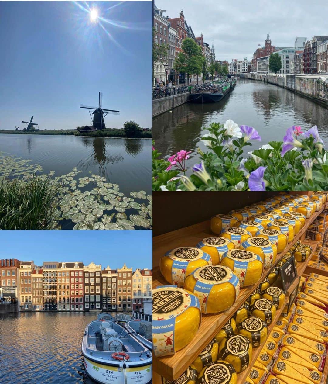 桑井亜乃さんのインスタグラム写真 - (桑井亜乃Instagram)「※ オランダ・アムステルダムへ🇳🇱 Amsterdam7sに参加してきました🏉  1日目は男子の試合を5試合 2日目は男子の試合を4試合、AR1試合 男子のセミファイナルを担当させてもらいました！  スピードがはやい中での状況判断が毎試合必要。 特に前半はめちゃくちゃはやい。 ワイドにボールも動くし、継続するし、コンタクトのインパクトも激しいし、、、  この2日間で男子の試合を9試合レフリーできたのはものすごい収穫！！！ ぶつかってちょっと宙を舞ったけど🫣 中々の試合数で足もパンパンになったけど、充実感とか達成感とか今ここで出来ていることが幸せだなって感じています。 去年はイギリス留学中に参加させてもらっていた大会🏉あの時からもう1年経ったんだなって。  あと3ヶ月でレフリーをはじめて2年になります。 毎日がチャレンジだし、目標持って挑戦することに意味があると思っています。 結果はどうなるかわからないし、目標は高いところにあるけど、今を大切にもっともっと成長したい。  今回も素敵な仲間に囲まれて、素敵な大会に参加することが出来ました🙂  昨日、帰国しました🇯🇵 ありがとうございました♡  #Amsterdam7s #オランダ #アルカス熊谷　#panasonicwildknights #rugby7s #ラグビー #ラグビー日本代表 #サクラセブンズ #ラグビー #rugby #女子ラグビー #レフリー #referee #八木橋百貨店 #canterbury #puma #大正製薬 #五反田病院 #きたもと脳神経外科クリニック #解説 #コメンテーター #commentator #女子アスリート #anokuwai #worldseries #オリンピック #cheese #風車 #netherlands #amsterdam」6月8日 21時25分 - ano.1020