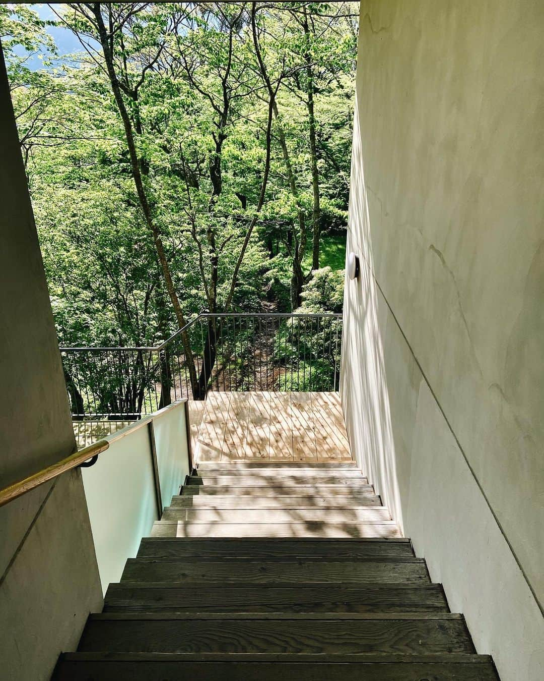 NEST INN HAKONE | 俵石閣さんのインスタグラム写真 - (NEST INN HAKONE | 俵石閣Instagram)「. 森に続く階段。  お部屋につづく階段の踊り場は、 木漏れ陽がさしこむ時間帯になると 素敵な空間に変わります。  初夏のこの時期は緑が美しいので、 ぜひお好みの場所を見つけて お気に入りの写真を撮ってみてくださいね。  #箱根リトリートフォーレ #箱根リトリートföre #箱根リトリートfore #箱根 #箱根ホテル  #hakoneretreatfore #hakoneretreatföre #hakoneretreat #箱根リトリート」6月8日 21時38分 - okcs_hakone.retreat