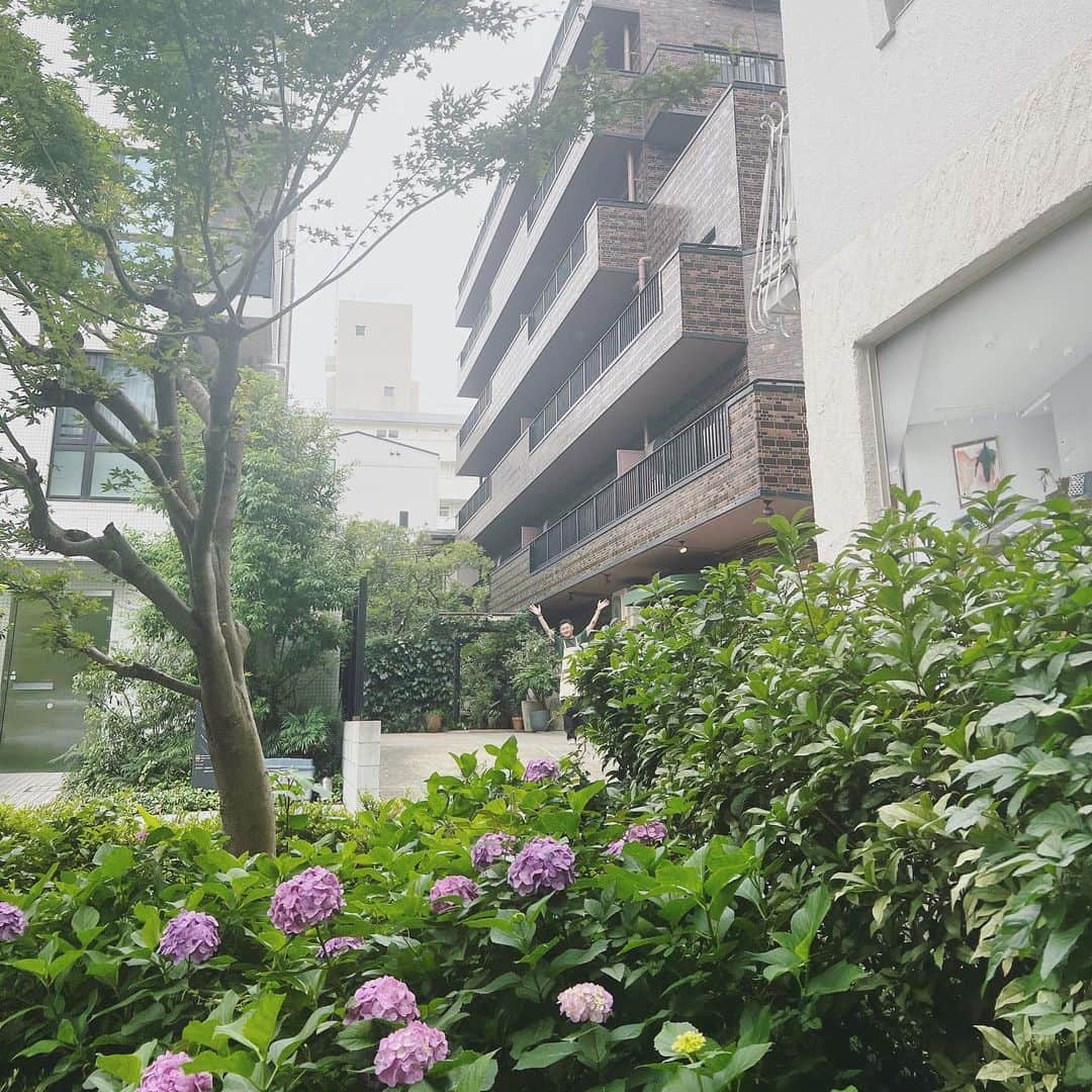 藤後夏子のインスタグラム：「髪型もカラーも気に入ってニヤニヤしながらお店出たら突っ込まれ、しばらく歩いて振り返ったら紫陽花畑の妖精みたいな人いた🧚」