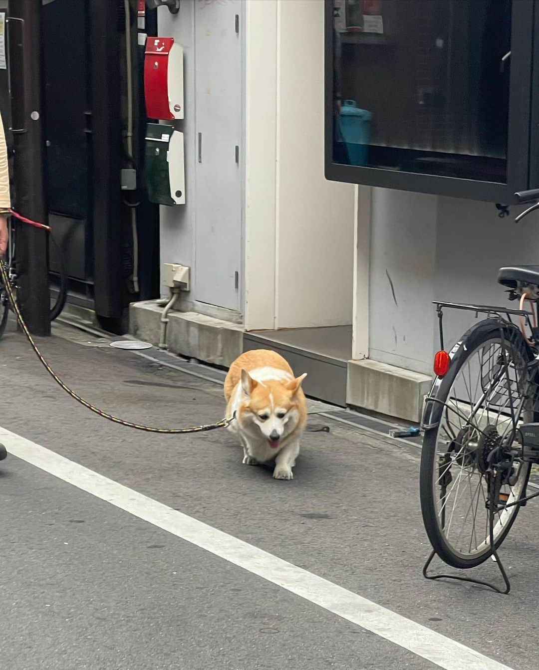 ももなさんのインスタグラム写真 - (ももなInstagram)「おおさか」6月8日 22時14分 - momoonaaa