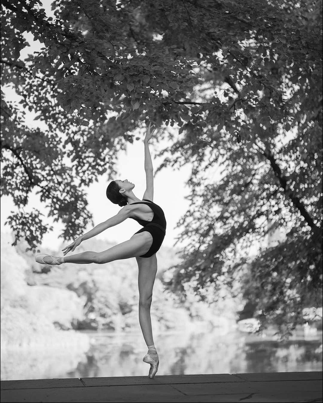 ballerina projectのインスタグラム：「𝐊𝐚𝐭𝐢𝐞 𝐁𝐨𝐫𝐞𝐧 in Central Park. 🦢  @katieboren1 #katieboren #ballerinaproject #centralpark #newyorkcity #ballerina #ballet #dance   Ballerina Project 𝗹𝗮𝗿𝗴𝗲 𝗳𝗼𝗿𝗺𝗮𝘁 𝗹𝗶𝗺𝗶𝘁𝗲𝗱 𝗲𝗱𝘁𝗶𝗼𝗻 𝗽𝗿𝗶𝗻𝘁𝘀 and 𝗜𝗻𝘀𝘁𝗮𝘅 𝗰𝗼𝗹𝗹𝗲𝗰𝘁𝗶𝗼𝗻𝘀 on sale in our Etsy store. Link is located in our bio.  𝙎𝙪𝙗𝙨𝙘𝙧𝙞𝙗𝙚 to the 𝐁𝐚𝐥𝐥𝐞𝐫𝐢𝐧𝐚 𝐏𝐫𝐨𝐣𝐞𝐜𝐭 on Instagram to have access to exclusive and never seen before content. 🩰」