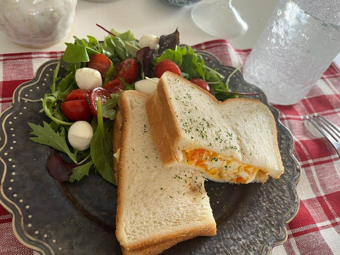 早川聖来さんのインスタグラム写真 - (早川聖来Instagram)「🥪🦩 タマゴサンド 美味しいですよね。  気分が下がる日は美味しいものを食べて元気出しましょう✨  #早川聖来 #せらずきっちん #seiragram」6月8日 22時21分 - hayakawa.seira.official