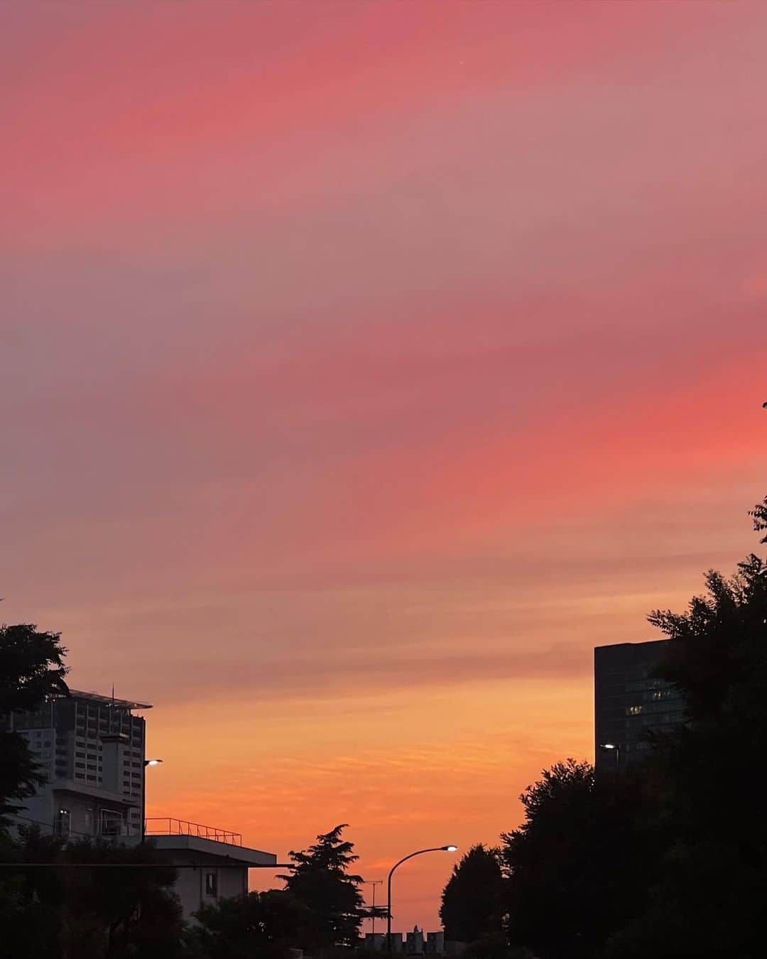 梅村実帆のインスタグラム：「lovely day 🌇」