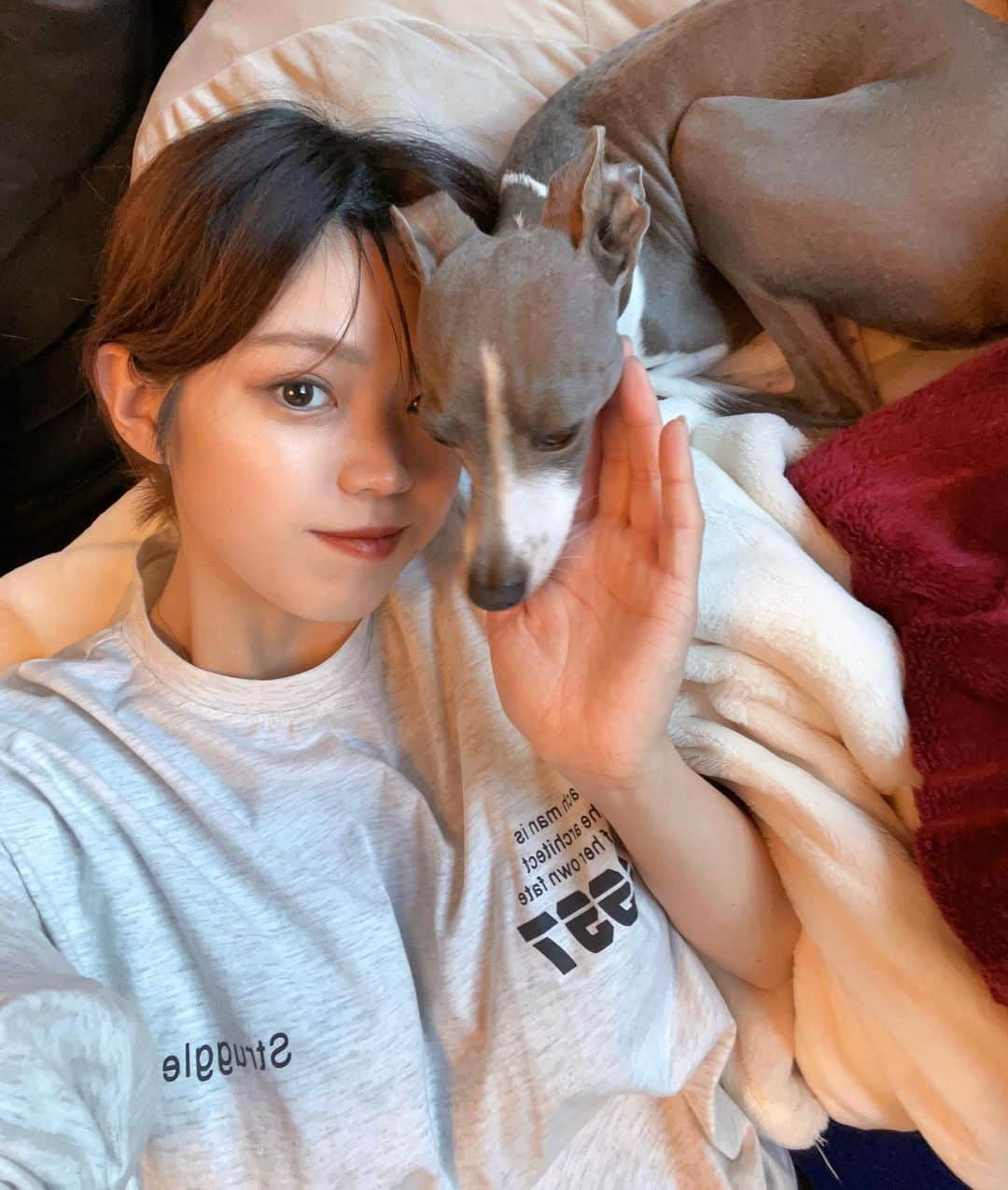 武井玲奈さんのインスタグラム写真 - (武井玲奈Instagram)「お兄ちゃんいつもありがとう❤️ I adore you. @tito_italiangreyhound   #イタリアングレーハウンド  #イタグレ #イタグレとの暮らし」6月9日 8時28分 - takeirena