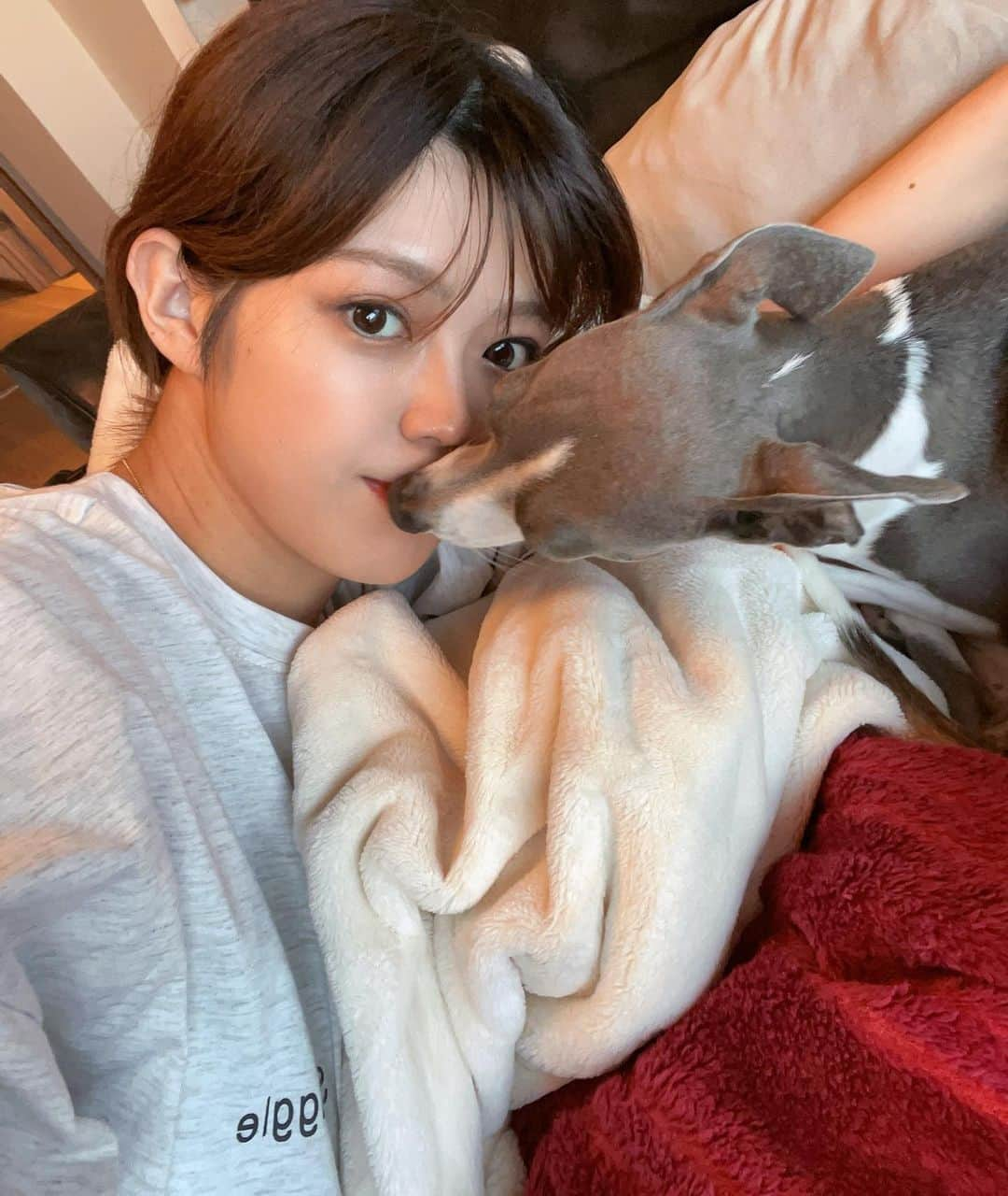 武井玲奈さんのインスタグラム写真 - (武井玲奈Instagram)「お兄ちゃんいつもありがとう❤️ I adore you. @tito_italiangreyhound   #イタリアングレーハウンド  #イタグレ #イタグレとの暮らし」6月9日 8時28分 - takeirena