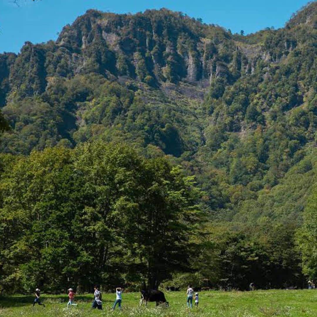 のインスタグラム：「#人気のキャンプ場 #長野県 #戸隠  ブログに詳細載せました！このインスタのプロフィールのURLから御覧になれます！」