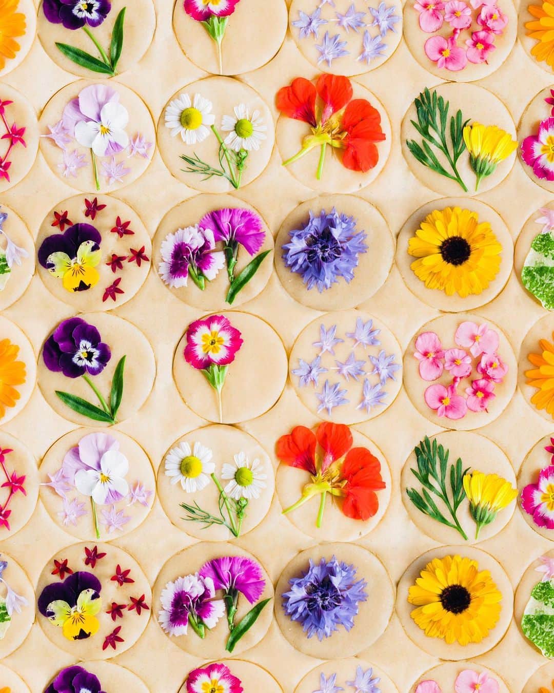 レイチェル アントノフのインスタグラム：「Finally: a dress covered in flower cookies」