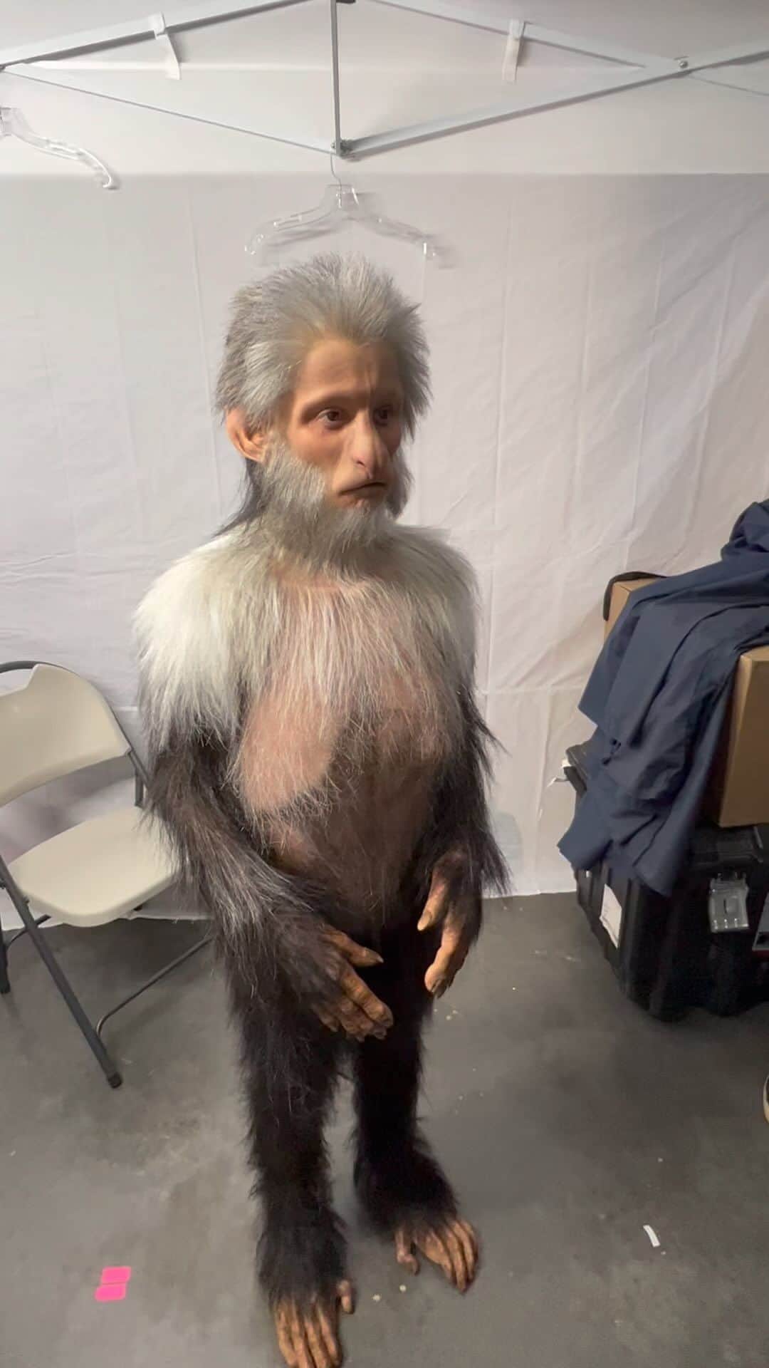 ジェームズ・ガンのインスタグラム
