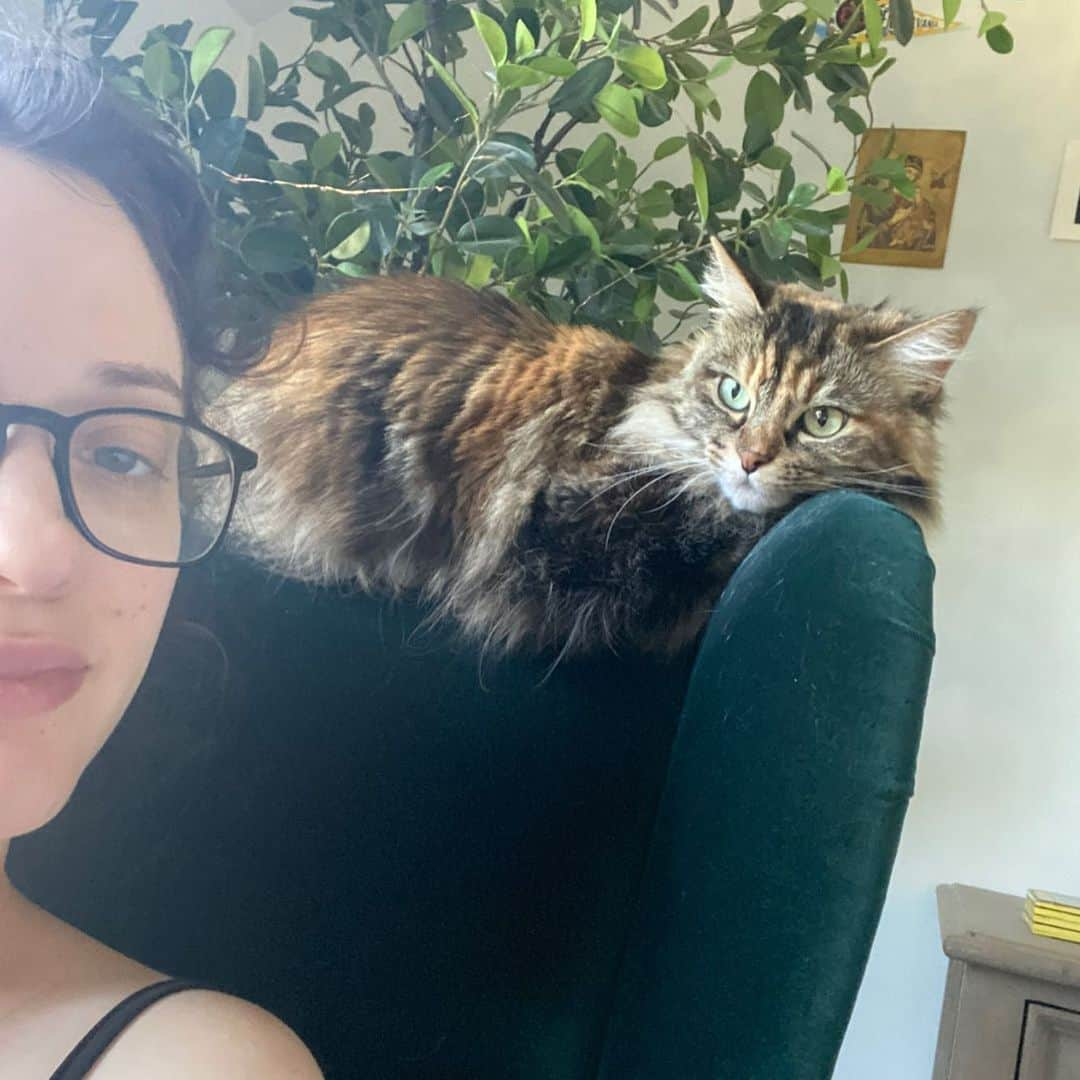 カット・デニングスさんのインスタグラム写真 - (カット・デニングスInstagram)「It’s #NationalBestFriendsDay which means I can show off my daughter, Millie, adopted over a decade ago. Did she change my life for the better? Yes. Did my heart grow triple the size in the warm glow of her love? Yes. Did she poo on my head once? Who can say. All that matters is that YOU can find your own fluffy (or scaly? Reptiles also included) best friend baby in need of a home at your local shelter or rescue group, and go to bestfriends.org to learn more 🐾 #SaveThemAll 💕」6月9日 2時23分 - katdenningsss