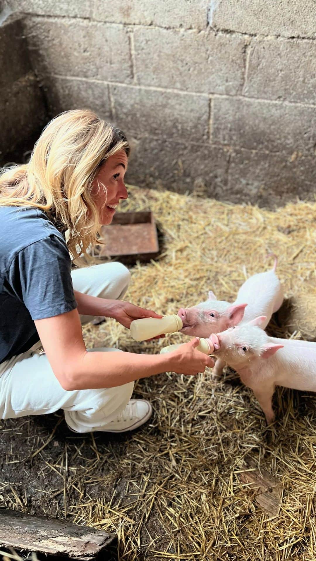 キャット・ディーリーのインスタグラム：「“How to make friends and influence…. Piglets” ?!?!? @ToriAmos was on to something 👍💯♥️🐽🐷」