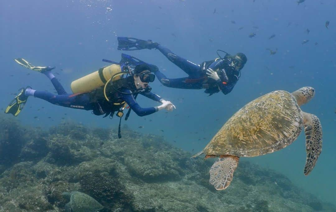 メドウ・ウォーカーのインスタグラム：「Happy World Oceans Day! Grateful for my partner in everything from advocacy, research, and education to passion for the ocean and all it provides. It’s our happy place. PROTECT YOUR SANCTUARY!!!!! Thank you planet Earth, we love you.   photos by @yuliancordero_osanatura on a trip with conservation ngo @innoceana」