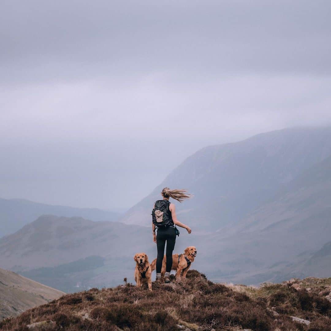 オスプレーのインスタグラム：「The perfect hiking crew 🐾  📷 @thisgoldenjourney   #OspreyPacks | Featuring the Talon/Tempest Series」