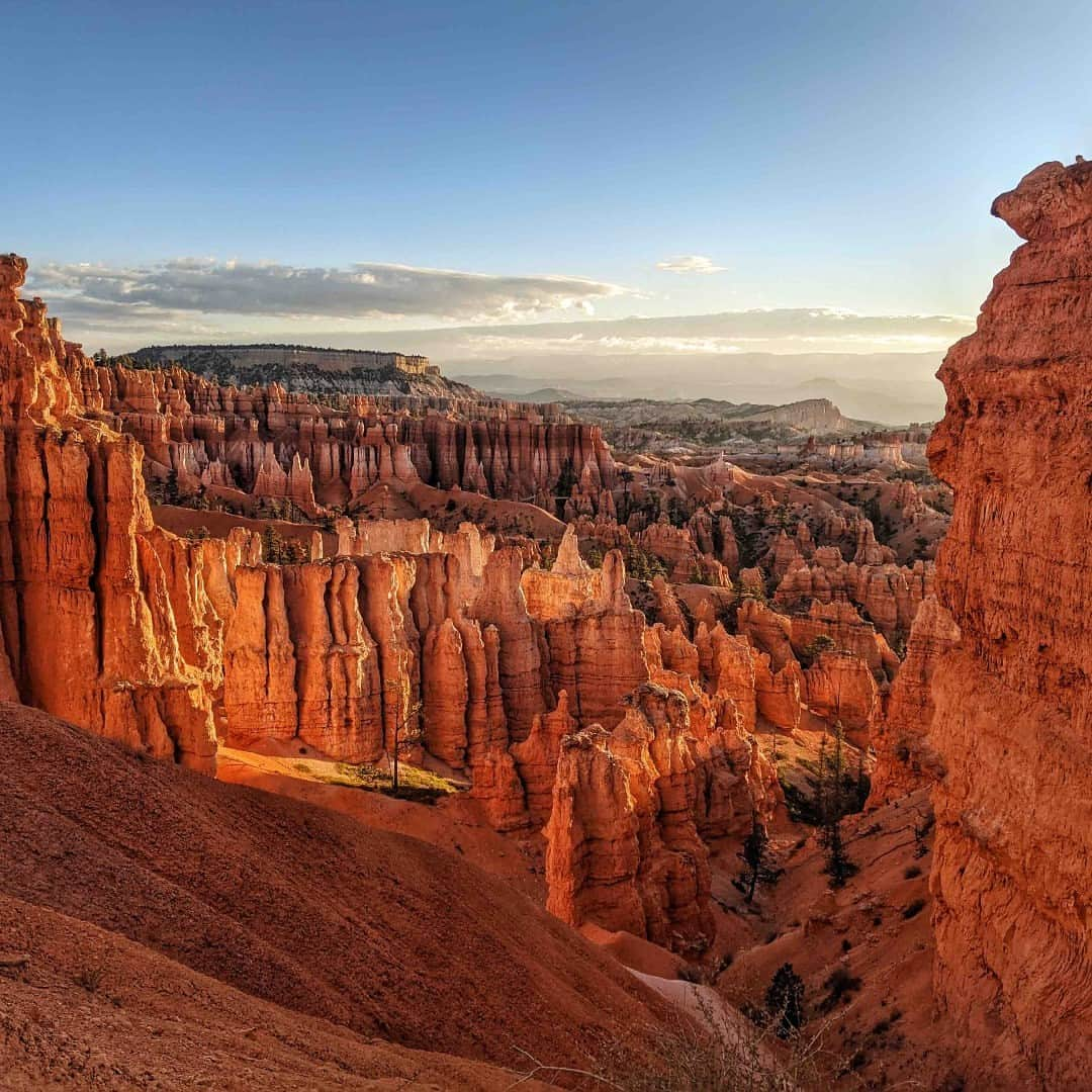 アメリカ内務省さんのインスタグラム写真 - (アメリカ内務省Instagram)「One hundred years since its establishment as a national monument, @brycecanyonnps_gov has welcomed millions of visitors from around the world to experience the park's rich past and vibrant present.   The park in Southwestern Utah is famous for the largest collection of hoodoos — the distinctive rock formations — in the world. Visitors can expect spectacular hiking, camping, dark skies, endless outdoor ranger activities and a Prairie Dog Festival.   Happy 100th @brycecanyonnps_gov! We can't wait to experience the next 💯 years.   Photo by Kent Peaslee   #Bryce100 #publiclands #utah #brycecanyon #hoodoos   Alt Text: Clusters and lines of jagged orange rock formations cover a sloping hillside.」6月9日 3時40分 - usinterior