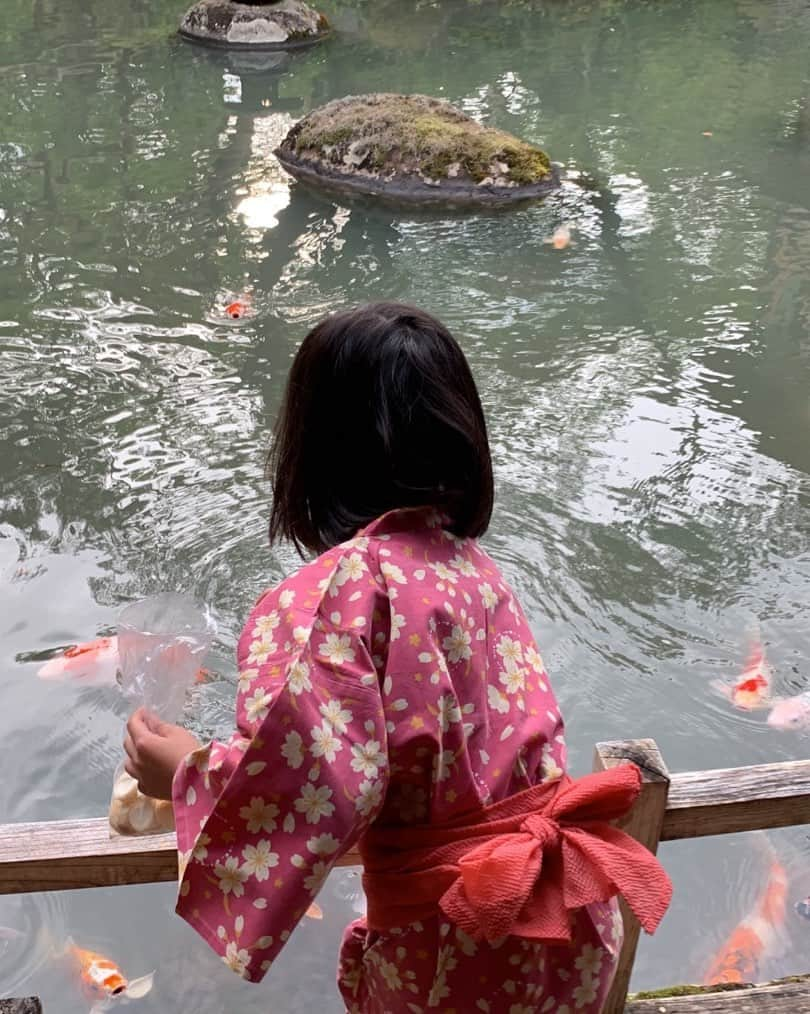 竹田恒泰のインスタグラム：「新井旅館（修善寺） 5月」