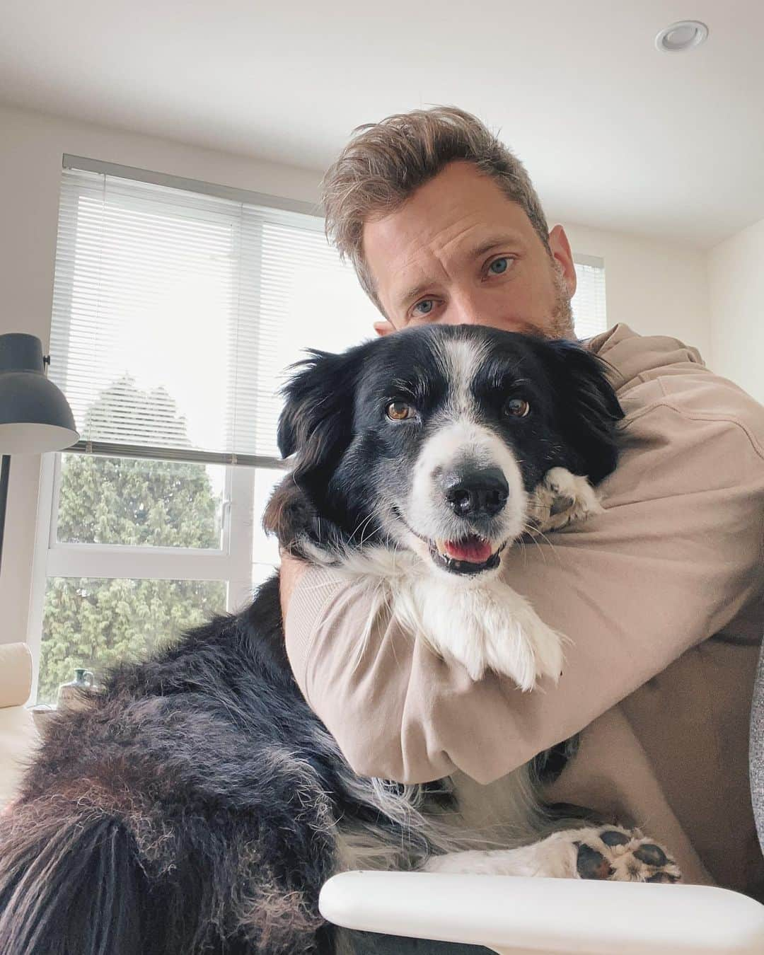 Andrew Knappさんのインスタグラム写真 - (Andrew KnappInstagram)「National best friend day shout out to my besties who let me selfie with them way too much. These three dogs have carried me through so much. So much love for these guys. #nationalbestfriendday #friendswhopeetogetherstaytogether   First photo by @shayd_johnson」6月9日 4時39分 - andrewknapp