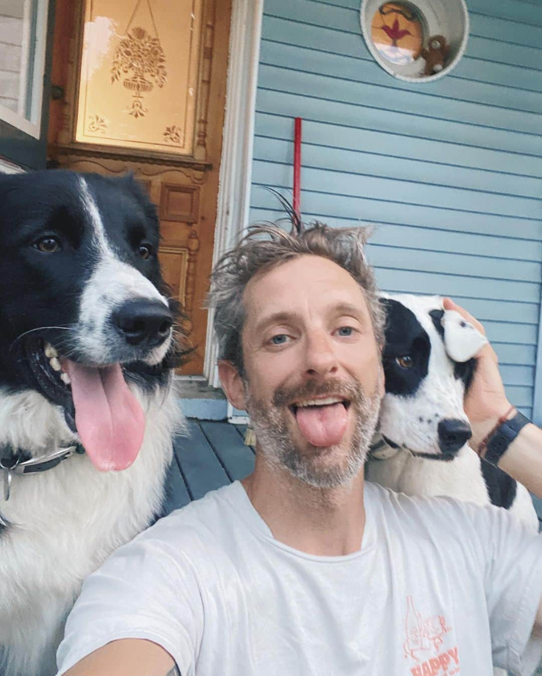 Andrew Knappさんのインスタグラム写真 - (Andrew KnappInstagram)「National best friend day shout out to my besties who let me selfie with them way too much. These three dogs have carried me through so much. So much love for these guys. #nationalbestfriendday #friendswhopeetogetherstaytogether   First photo by @shayd_johnson」6月9日 4時39分 - andrewknapp