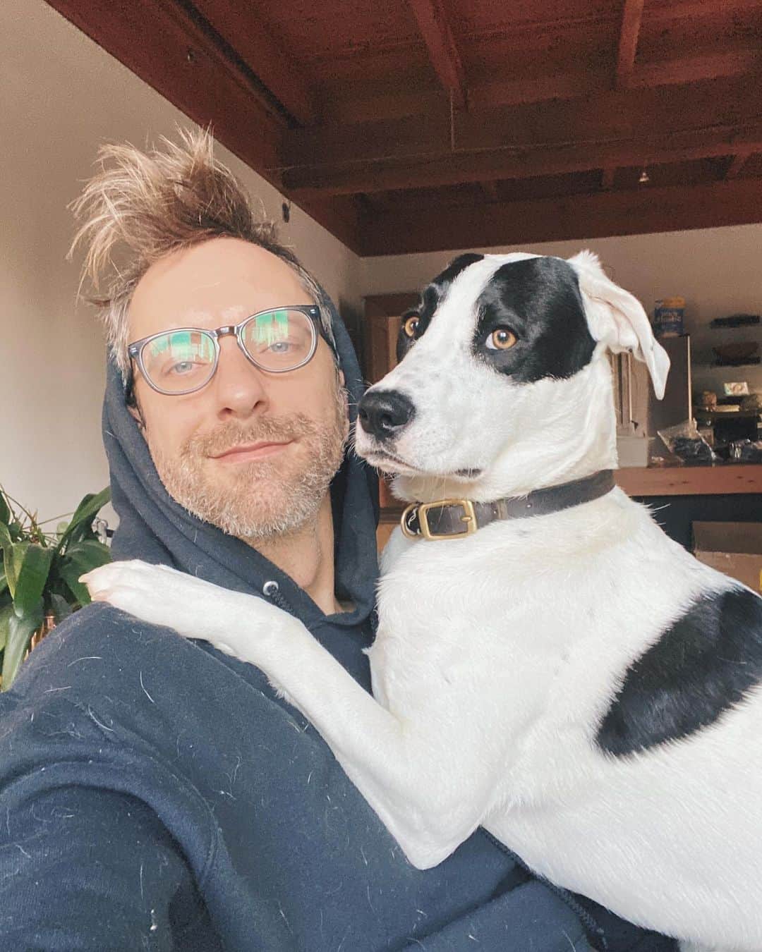 Andrew Knappさんのインスタグラム写真 - (Andrew KnappInstagram)「National best friend day shout out to my besties who let me selfie with them way too much. These three dogs have carried me through so much. So much love for these guys. #nationalbestfriendday #friendswhopeetogetherstaytogether   First photo by @shayd_johnson」6月9日 4時39分 - andrewknapp