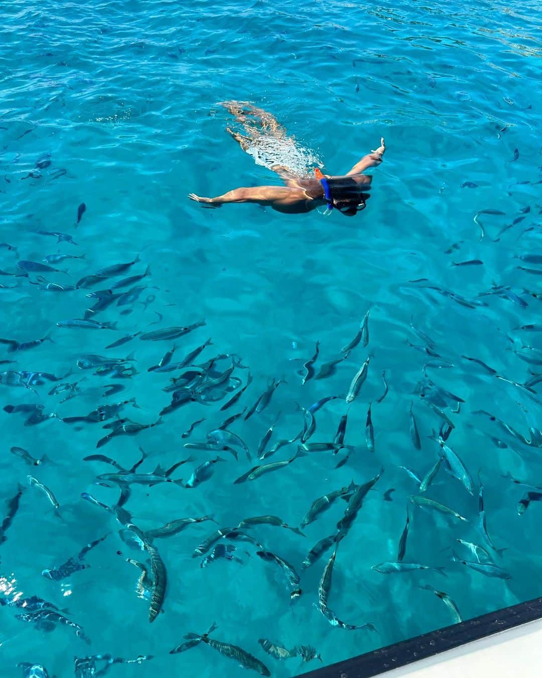 リサンドロ・マガジャンさんのインスタグラム写真 - (リサンドロ・マガジャンInstagram)「Un día en el Mediterráneo 🌊☀️🌴」6月9日 6時25分 - licha.magallan