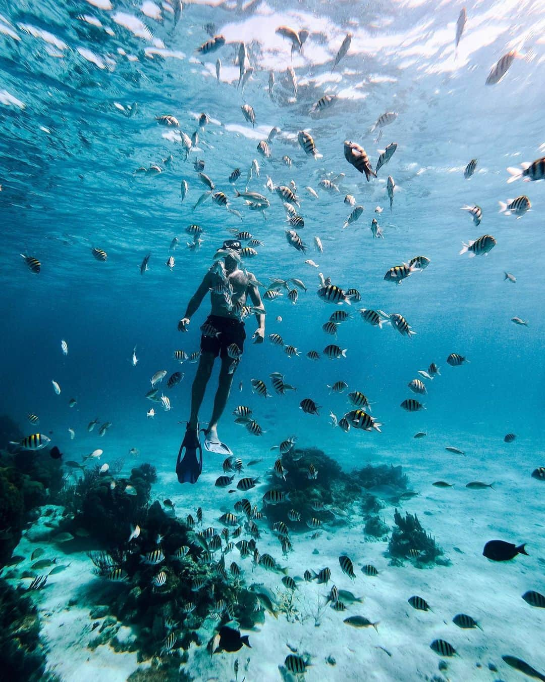 リッツ・カールトンのインスタグラム：「On World Oceans Day, we are continuing our focus on the ocean and its ecosystems through the Ambassadors of the Environment program. Created with Jean-Michel Cousteau and his Ocean Futures Society, Ambassadors of the Environment strives to foster awareness and education, and preserve the unique biomes of our destinations around the world, from the reefs of the Maldives to the coastline of Santa Barbara.」