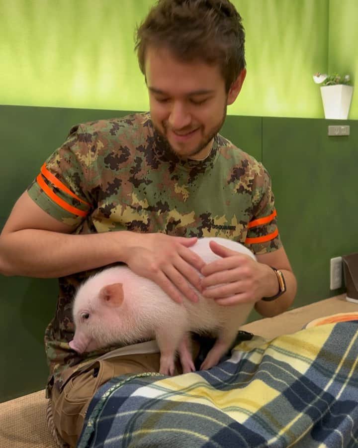 ゼッドのインスタグラム：「got to play with baby piggiiiies 🐷😍」