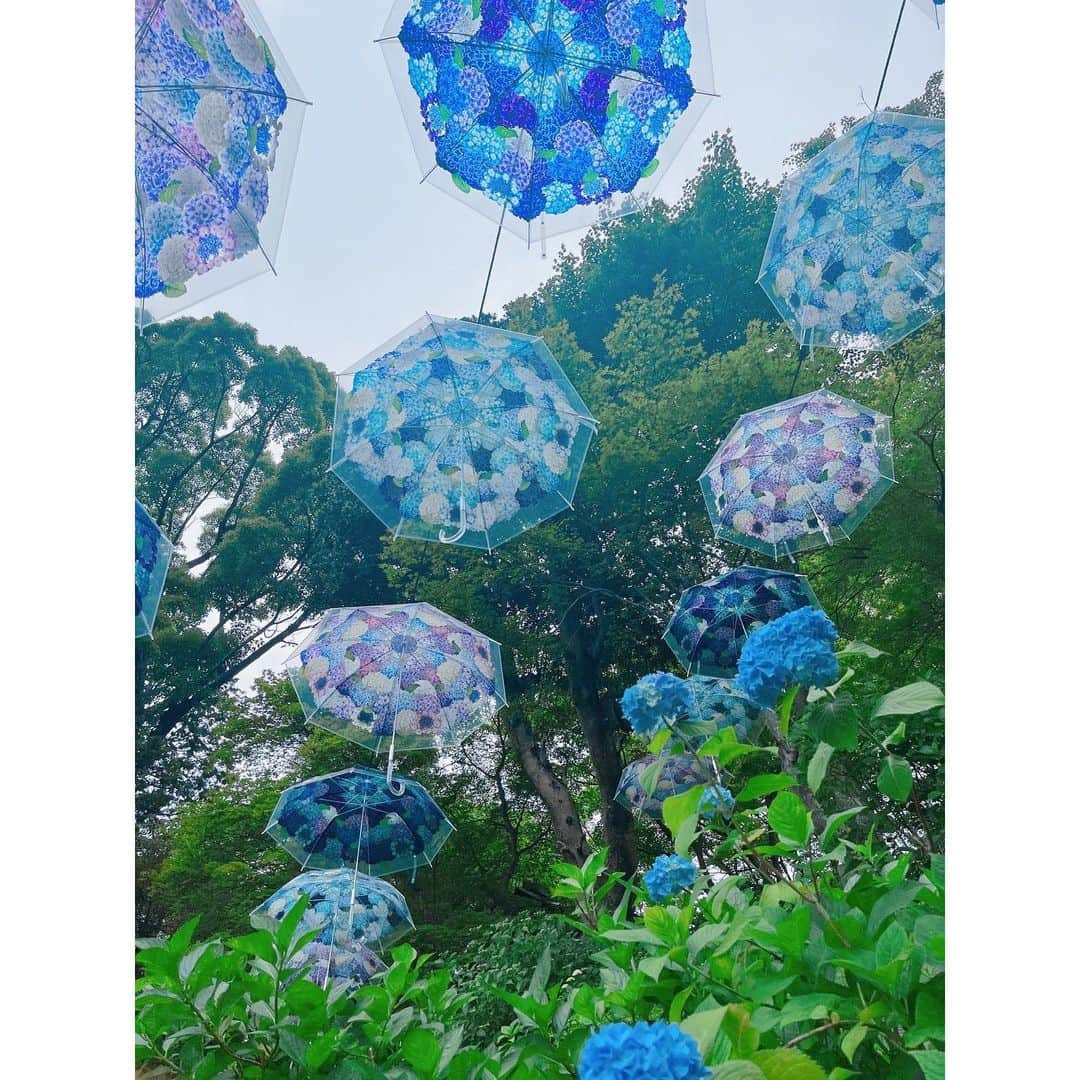 有村智恵さんのインスタグラム写真 - (有村智恵Instagram)「紫陽花の時期の京都😍 こんな素敵な場所があったの、初めて知りました🥰  ぜーーーんぶ、同じ場所😳  この時期、プロゴルファーにとっては雨が多くて大変なことの方が多くて、あんまり好きじゃなかったけど。  こんなに素敵な景色も見られるんですね☺️☺️☺️  #最近の趣味は #御朱印集めです #全国でオススメの場所はありますか  #柳谷観音楊谷寺  #柳谷観音花手水  #柳谷観音紫陽花  #柳谷観音あじさいまつり  #柳谷観音 #楊谷寺」6月9日 17時36分 - chiearimura