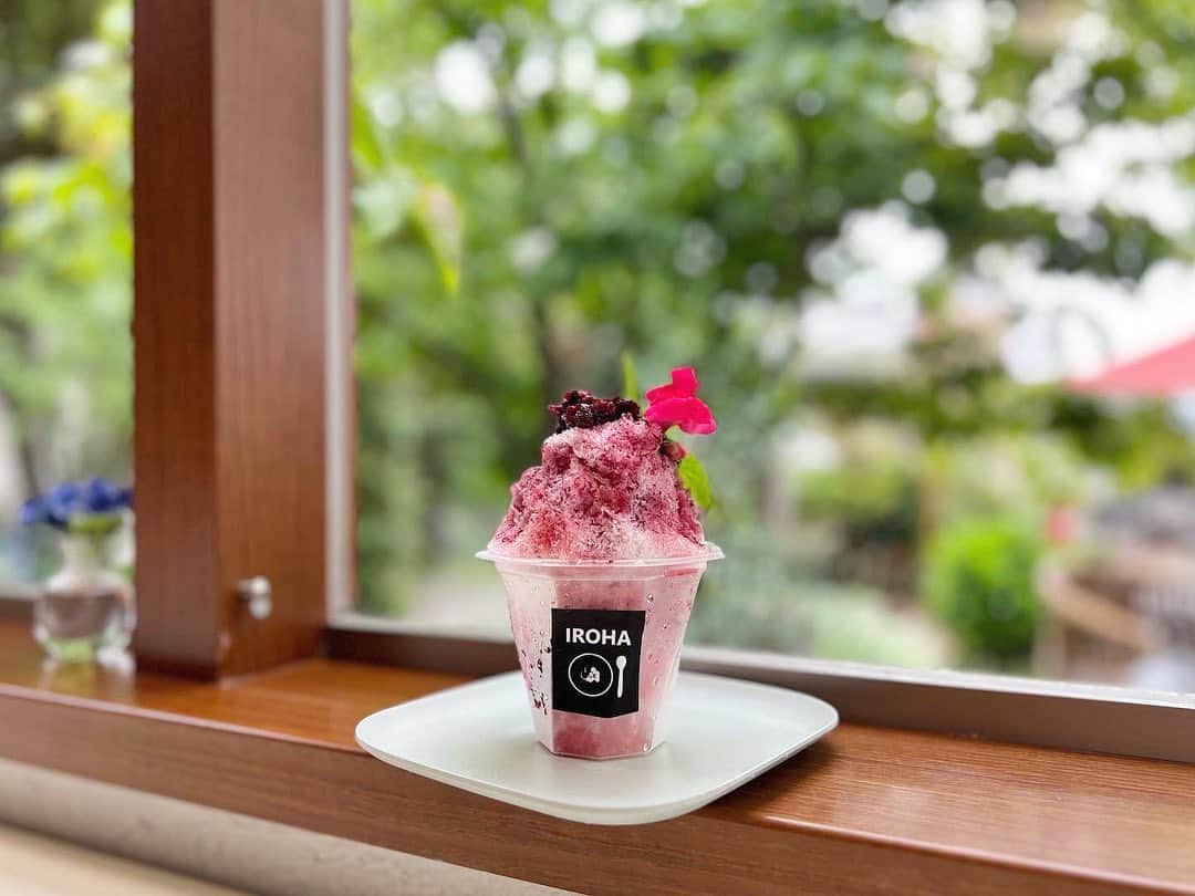 横山紗弓のインスタグラム：「先日取材でお邪魔した @gardencafe.iroha さん🌿 美味しいかき氷始めるそうです🍧 スタッフさんが温かい人たちばかりで とても居心地の良い場所でした＾＾ そしてなんと！ペットも一緒に楽しめるそうで ラテ連れて行くと決めた🐶 #福岡グルメ #福岡カフェ #宗像グルメ #宗像カフェ」