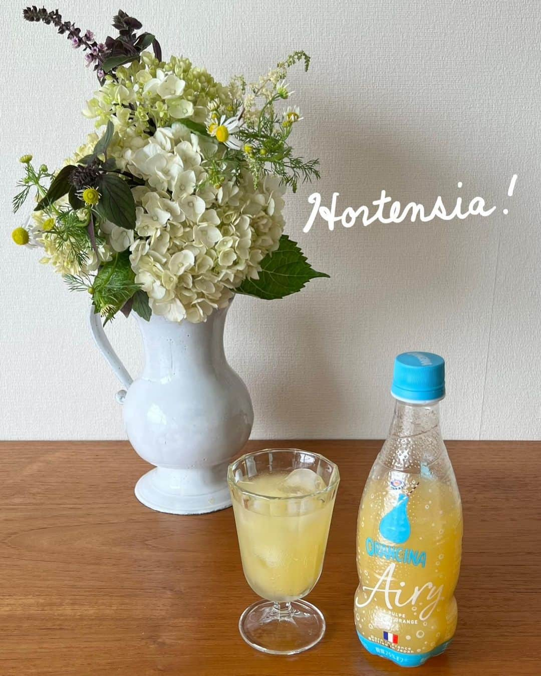 Orangina オランジーナ公式のインスタグラム：「梅雨の時期に入りしました☂️  季節の花 紫陽花は フランス語でHortensia（オルタンシア） と言います🇫🇷  優しいクリーム色の紫陽花のブーケを部屋に飾ってみました💐  紫陽花に合わせたのは スペアミントやアフリカンブルーバジル カモミールなどのハーブ🌿  色のアクセントが加わり フレッシュなハーブの香りも楽しめます👍  お部屋に花を飾ったり ORANGINA Airyを飲んだり🍊 リフレッシュを取り入れて 梅雨時間を楽しみましょう😊  #orangina #oranginaairy #france #soda #オランジーナ #フランス生まれ #炭酸飲料 #フランス #オレンジ #休憩 #withオランジーナ #梅雨 #紫陽花 #あじさい #hortensia #bouquet #ブーケ #スペアミント #バジル #カモミール #フレッシュ #ハーブス」