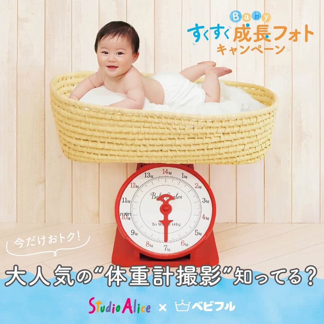 Babyful Storeさんのインスタグラム写真 - (Babyful StoreInstagram)「\9日間限定！体重計撮影をおトクに楽しもう！/  #スタジオアリス で 期間限定【すくすく成長フォトキャンペーン】を開催！ ⁡ お子さまの成長過程の変化が目に見えてわかる 生まれて最初の１年間✨  生まれてから、たくさんの写真を撮ったけれど、スマホの中でデータがたまっていくばかり・・なかなかプリントができないし整理も大変  そんなママさんパパさんに朗報です！！！ スタジオアリスの【体重計撮影】なら、赤ちゃんの体重をメモリで表して撮れるから、 撮り続けることで、お子さまの成長が一目でわかる世界にひとつだけの特別な「すくすく成長フォト」 が完成します🌱📷  ⁡ さらに6/10(土)から9日間限定で 参加料、撮影、限定フォトアイテムまで、すべて込みで 5,500円(税込)のとってもおトクなパックが登場👶✨ ⁡ この機会にスタジオアリスで赤ちゃん撮影を楽しみませんか。  ⁡ 𓄲𓄲パック内容𓄲𓄲 ⁡ 参加料 撮影 六切サイズデザインフォト（フレーム🖼付き） ⁡ ⁡ ...すべて込みで ✨✨5,000円（税込5,500円）✨✨ ⁡ 𓄲𓄲期間𓄲𓄲 ⁡ 2023年6月10日(土)〜6月18日(日) ⁡ 0〜1歳お誕生日撮影のお子さまが対象です👶🏻🎶  ………………………  【続けて撮影できたら、ぜひ「成長記念デザインフォト」を👀💘】 成長の軌跡が一目でわかる、世界にひとつだけの特別なデザインフォトです♪ 『体重計』のお写真だけで作る専用商品！ 家族の宝ものになることまちがいなしです！ ※この商品をご注文いただくには『体重計』撮影を 3回以上ご購入いただく必要があります。  詳しくは▶️タグ付け 【@studio.alice】 プロフィールのリンクから [すくすく成長フォト]を ご覧ください👀🔍  #スタジオアリス では、 ・手指の消毒 ・検温の徹底 ・衣服の消毒　等の 感染予防対策を行なっています。 ⁡ 詳しくは▶️タグ付け 【@studio.alice】 プロフィールのリンクから [スタジオアリスの安心安全への取り組み]を ご覧ください👀🔍  ご家族の大切な記念を残すなら 安心できるお店で🎞🤍 ⁡ 今後とも#ベビフル を どうぞよろしくお願いいたします🙇‍♀️💓 ⁡ ⁡ #PR #スタジオアリス #studioalice #ベビフル #こども #親バカ部 #育児 #子育 #癒し #家族 #成長記録 #親バカ #親ばか部 #子育て #赤ちゃんのいる生活 #赤ちゃんのいる暮らし #ママの宝物 #百日祝い #お宮参り # #初節句 #記念撮影 #ハーフバースデー #1歳誕生日 #記念日フォト」6月9日 17時59分 - babyful_official