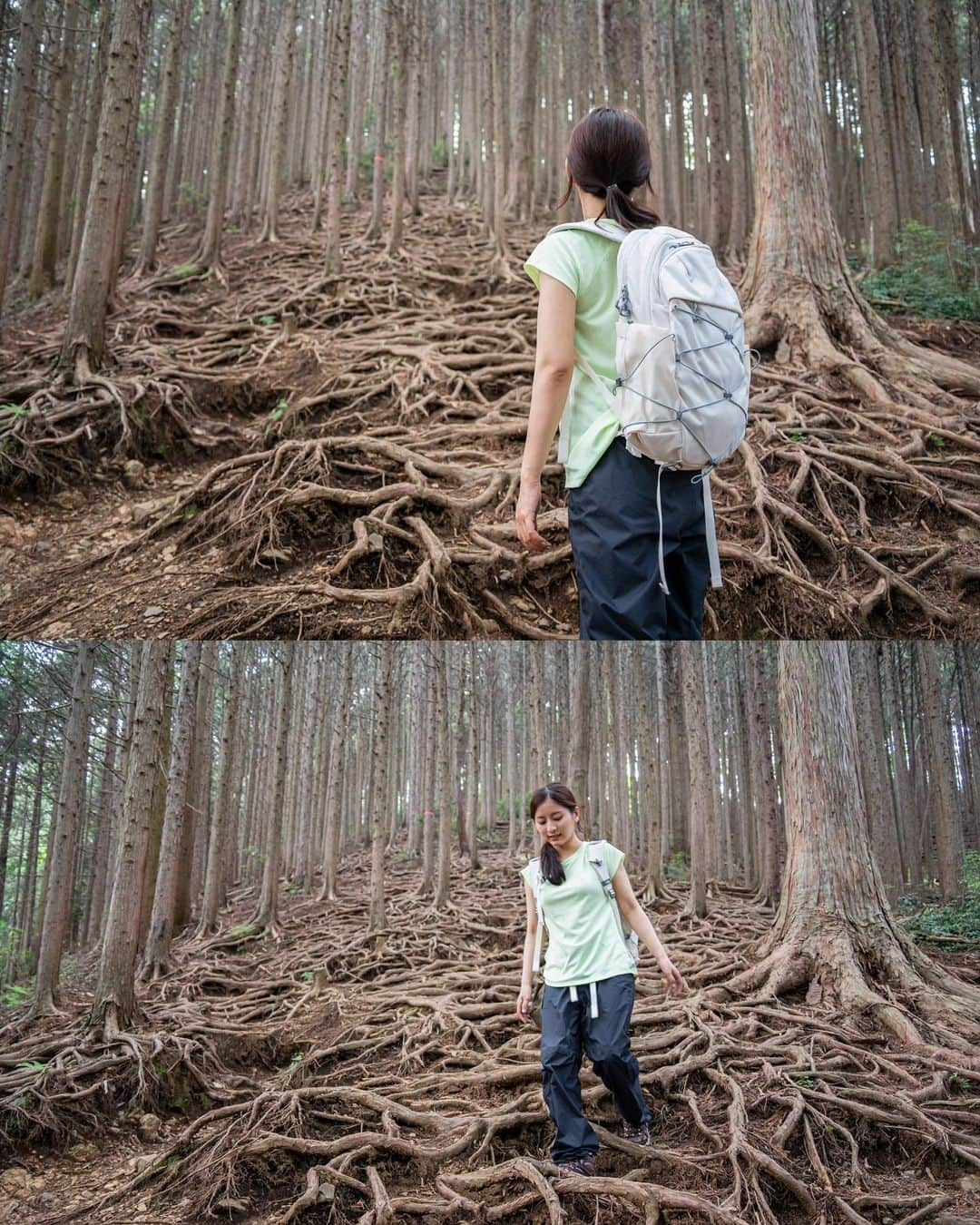 ロンモンロウさんのインスタグラム写真 - (ロンモンロウInstagram)「⛰️👧🏻神奇大自然  📷 @wufenglin1004  素敵な写真ありがとうございます  #棒ノ折山  #ティアラル 山 #山登り #登山 #登山コーデ #登山女子 #山ガール #山ガールファッション #アウトドア #アウトドアファッション #outdoor #nature #爬山 #健行」6月9日 18時08分 - ronmonroe_official