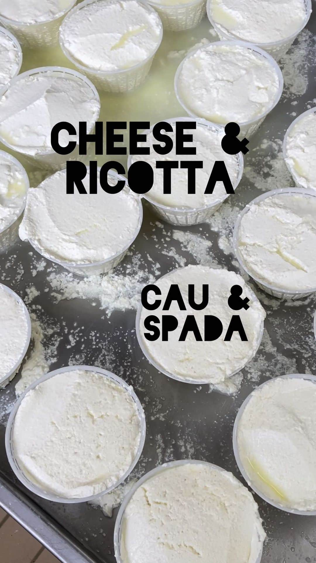 Symmetry Breakfastのインスタグラム：「@cauespada One of my favourite cheese producers ever in the hills of Le Marche, Italy. With 2000 sheep that are free to roam over 600 hectares of wild, organic land, the pecorino cheeses and ricotta are truly sublime.   I first visited in 2021 and again last week to see their production, taste and talk about life and the world. I can’t help but get philosophical around Alessandra and some delicious cheese. Everyday they produce up to 15 types of cheese from their milk, with the leftover whey “recooked” to produce the ricotta.   To taste fresh still warm ricotta that has never been refrigerated is other worldly. With just salt, pepper and local olive oil or with honey is a lesson in simple perfection. If you happen to be in Bologna, you can try the ricotta at @gelateriagalliera49 who use it in their ricotta granita, it’s a favourite of mine and many of the best restaurants in Italy use their produce #italianfood #ricotta #cheesemaking #cheese #formaggio #symmetrybreakfast」