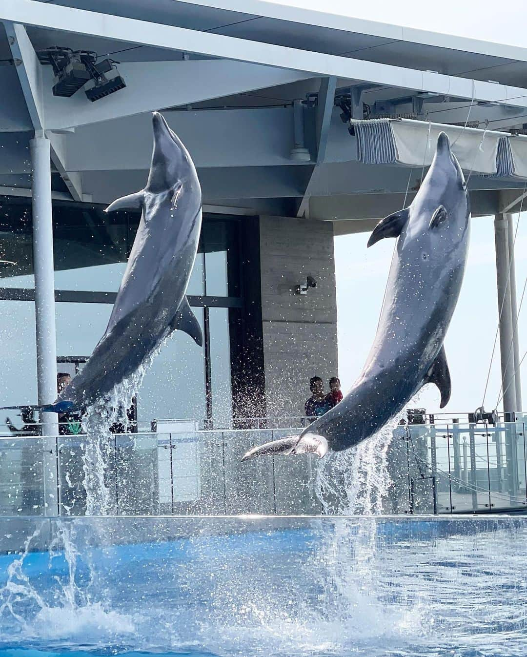 五十嵐圭さんのインスタグラム写真 - (五十嵐圭Instagram)「先日、実家の上越へ。  #実家 #上越 #水族館 #うみがたり」6月9日 18時19分 - keiigarashi_official