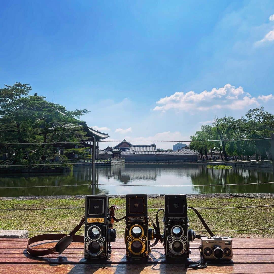 ペ・ジョンナムのインスタグラム：「나의 롤라이 친구들과함께~😍💃🏻💃🏻📷📸📸🎞️🩶🩵🤍 #rolleiflex」