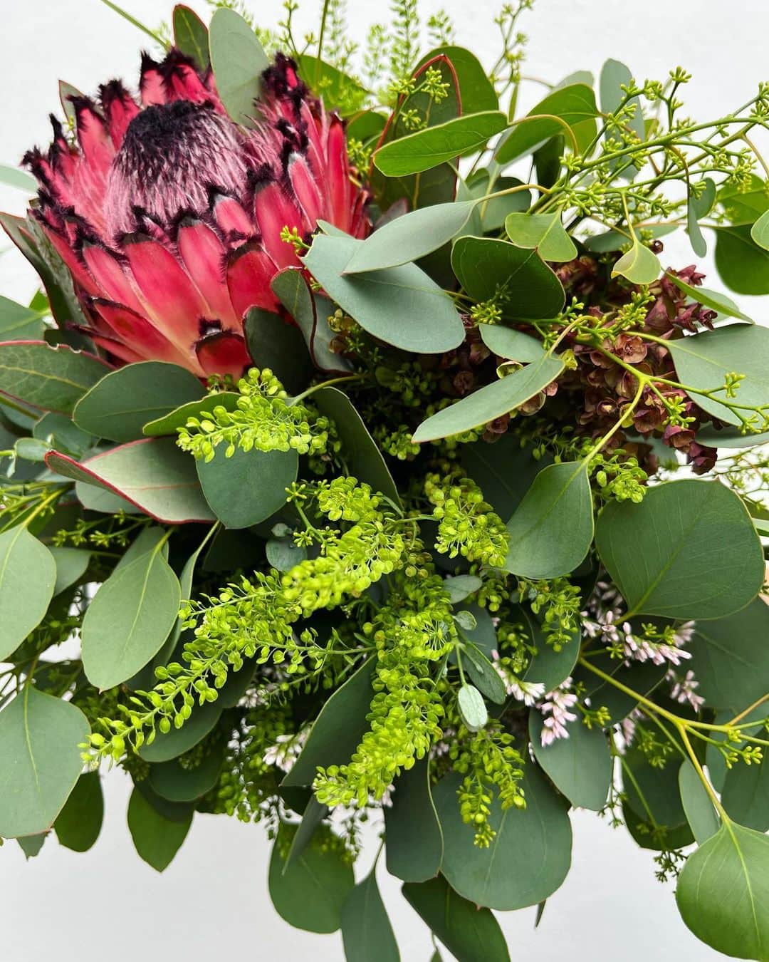 MILLE ECLAT.さんのインスタグラム写真 - (MILLE ECLAT.Instagram)「あいにくのお天気ですがこんな時はお花をお家に飾って元気をもらいましょう♡ . 今日はムシムシ…☔️ . フレッシュなお花もお待ちしております✨☺️」6月9日 9時48分 - mille_eclat
