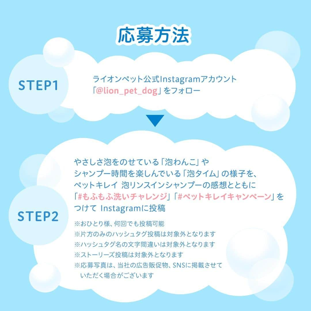 ライオン商事株式会社さんのインスタグラム写真 - (ライオン商事株式会社Instagram)「／ 📣泡わんこ大募集！#もふもふ洗いチャレンジ 「いぬのきもち」or PR動画のモデルになれるチャンス！🧼✨ ＼ いつもご覧いただきありがとうございます。  ライオンペットでは、デリケートなワンちゃんの肌をたっぷりの泡でやさしく洗う #もふもふ洗い を推奨しています。 そこで、たくさんの方に #もふもふ洗い を実践していただけるように #もふもふ洗いチャレンジ キャンペーンを開催いたします❗️  キャンペーンに参加していただいた方の中から、 「いぬのきもち」本誌中面の特集ページにて ワンちゃんが掲載、もしくはペットキレイPR動画に出演できるチャンス！📖🎥  ↓応募要項はこちら✅↓  ＜応募方法＞ ①「@lion_pet_dog」をフォロー ②やさしさ泡をのせている「泡わんこ」やシャンプー時間を楽しんでいる「泡タイム」の動画や写真を、 投稿文にペットキレイ 泡リンスインシャンプーの感想と 「#もふもふ洗いチャレンジ」「#ペットキレイキャンペーン」の2つのハッシュタグをつけた上で Instagramに投稿  ※おひとり様、何回でも投稿可能 ※片方のみのハッシュタグ投稿は対象外となります ※ハッシュタグ名の文字間違いは対象外となります ※ストーリーズ投稿は対象外となります ※応募写真は、当社の広告販促物、SNSに掲載させていただく場合がございます  ＜応募期間＞ 2023/6/9（金）～ 2023/7/31（月）23:59迄  ＜特典/当選人数＞ 【グランプリ】 雑誌『いぬのきもち』11月号（10月発売号）本誌中面ページにモデル掲載…１名様 プロのカメラマンが、あなたの愛犬のシャンプーシーンを撮影します！  【いぬのきもち賞】 雑誌『いぬのきもち』11月号（10月発売号）本誌中面ページに応募写真掲載…5名様程度 本キャンペーンに応募いただいた写真が掲載されます。  【Wチャンス（ムービー出演）】 「ペットキレイ」のPR動画での投稿の使用 本キャンペーンに応募いただいた投稿がペットキレイのPR動画に使用されます。 ※本コンテンツはWeb動画・店頭販促物・イベント等の広告に使用される想定です。 　キャンペーン期間終了後も使用いたしますのでご了承ください。  ライオンペット「ペットキレイ　泡リンスインシャンプー」で泡シャンプー（もふもふ洗い）をしているワンちゃんの動画・写真をInstagram投稿から募集します。  審査の結果、選ばれた投稿は、「いぬのきもち」11月号（10月発売）」本誌掲載またはライオンペット「ペットキレイ」のPR動画に使用します。 グランプリに選ばれた方は、別途プロカメラマンによる撮影を行い、撮影写真が「いぬのきもち11月号（10月発売）」の本誌に掲載されます。  ＜当選発表＞ 当選者の方には別途DMにてご連絡させていただきます。  ＜利用規約＞ 本キャンペーンへ参加される場合は、本応募要項に同意いただいた上でのご応募となります。 応募要項にご同意いただけない場合は、キャンペーンに応募することができません。 また、本キャンペーンへの応募をもって、本応募要項に同意したものとみなします。  ＜応募資格＞ ・モデル撮影の都合上、日本国内にお住まいの方に限らせていただきます。 ・ライオンペット公式Instagramアカウント「@lion_pet_dog」をフォローされている方が対象です。 ※当選連絡完了時点まで当社アカウントをフォローされている必要があります。 ・キャンペーン期間中に、Instagramのアカウントを保有しており、Instagramアカウントを公開設定にしている方。 ※Instagramアカウントを非公開にしている場合、投稿を確認することができないため本キャンペーンには参加できません。 ※Instagramアカウントを削除された場合、当選のご連絡を差し上げることができないため本キャンペーンで当選された場合も無効となります。 ・本規約について同意されている方。  ＜応募に際する注意事項＞ ・DMをもって当選者の発表と代えさせていただきます。 ・グランプリの撮影場所につきましては、当選者へ追ってご連絡いたします。 ・グランプリは、万が一 受賞者とご連絡がつかない場合、撮影の都合上受賞が無効になります。 ・非公開アカウントは対象外となりますのでお気を付けください。 ・本キャンペーンにご応募いただくにあたり、応募者はキャンペーンの運用について本アカウントの運用方法に従うものとし、一切異議申立てを行わないものとします。 ・本キャンペーンは予告なく中止、または変更をさせて頂く場合がございます。 ・本キャンペーンは、Meta社・Instagramとは一切関係ありません。 ・本キャンペーンは中止となる可能性があります。  【個人情報の取扱いについて】 ・当選時にご入力いただきます個人情報は、撮影・掲載時の連絡のみに使用し、それ以外の目的では利用いたしません。  みなさまのご応募お待ちしております！🧼  #lionpetdog #lion @lion_pet_dog #犬洗い #犬との暮らし #犬との生活 #いぬ部 #ふわもこ部 #犬のいる暮らし #いぬすたぐらむ #わんこ #わんこのいる生活 #わんすたぐらむ」6月9日 10時00分 - lion_pet_dog