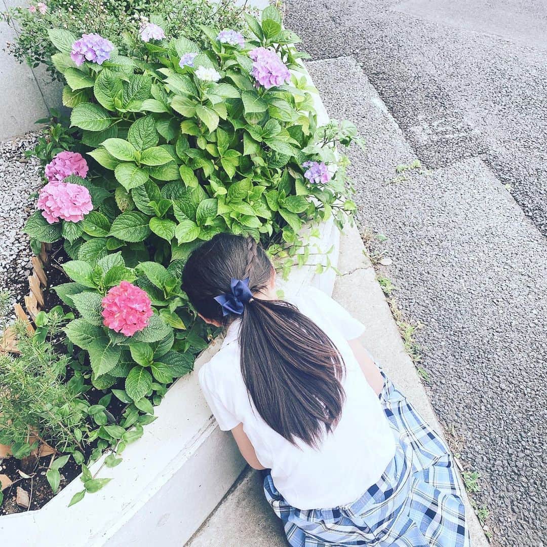 大堀恵のインスタグラム：「習い事帰りに、ダンゴムシのメスを見つけて掌にのせて喜ぶ娘。 👧を見て癒されるわたし。👩❤︎ 穏やかな日々🌱 大好きな金曜日なので、深呼吸😮‍💨ヒッヒッふぅ❤︎ #紫陽花」