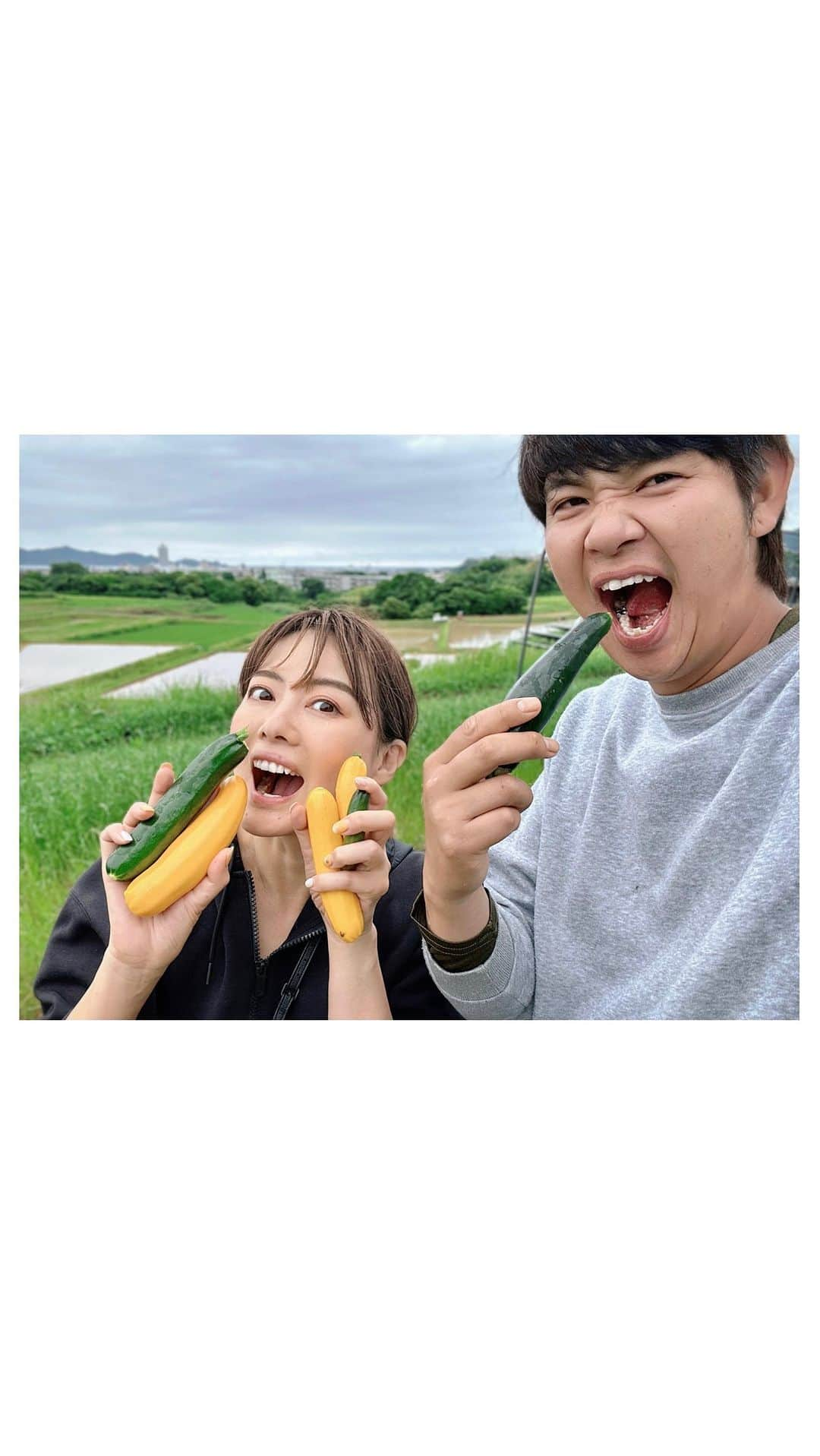 羽舞咲のインスタグラム：「🎗Thanks to Mother Nature ⁡ 今年の「夫婦野菜」 初収穫はズッキーニでした✨ ⁡ 土に米ぬかを混ぜて地力を高め 苗を植えたら あとは自然の太陽と雨で 立派なズッキーニが実りました ⁡ 当たり前のことかもしれないけど すごいこと  『母なる大地』 ⁡ こんな言葉が思い浮かび 自然に感謝の気持ちが湧いてきます ⁡ さっそく輪切りにして 五島産の海塩をちょっとつけて食べると… ⁡ やっぱり採れたて みずみずしくて 甘みも歯ごたえもあって 本物のズッキーニの美味しさ‼︎ ⁡ 緑と黄色のちょっとした味の違いも分かり ⁡ 五島の豊かな大地からの恵みを ありがたくいただいております ⁡ スイカも成長中です♪ ⁡ 贅沢だなぁ (*´-`*) ⁡ ⁡ ┅┅┅┅┅┅┅┅┅┅┅┅┅┅┅┅┅┅┅┅ ⁡ 🎧神宮前ラジオ @jingumae.fm 「羽舞咲のゆるゆるビューティ研究所」 （毎週水曜日オンエア） ⁡ 🇨🇱「ラテンマインド研究室」 ラテンマインドを通じて当たり前を考え直し、日本人の殻を破るzoomワークショップ ⁡ 📸「五島の景色とあなたを結ぶ撮影会」 ⁡ 心を込めてお届けします♡ ⁡ @herbemi プロフィールリンクをチェック！！ ⁡ ┅┅┅┅┅┅┅┅┅┅┅┅┅┅┅┅┅┅┅┅ ⁡ #サスティナブル #風の時代 #シンプルライフ #ライフシフト #スローライフ #ヘルシーライフ #セルフラブ #ナチュラルライフ #癒し時間 #旅する人生 #サスティナブルライフ #自分らしく生きる #五島列島 #福江島 #夫婦時間 #しあわせな時間 #ズッキーニ #自然暮らし #家庭菜園 #無農薬野菜 #夫婦野菜 #五島の大谷翔平 #羽舞咲 ⁡」