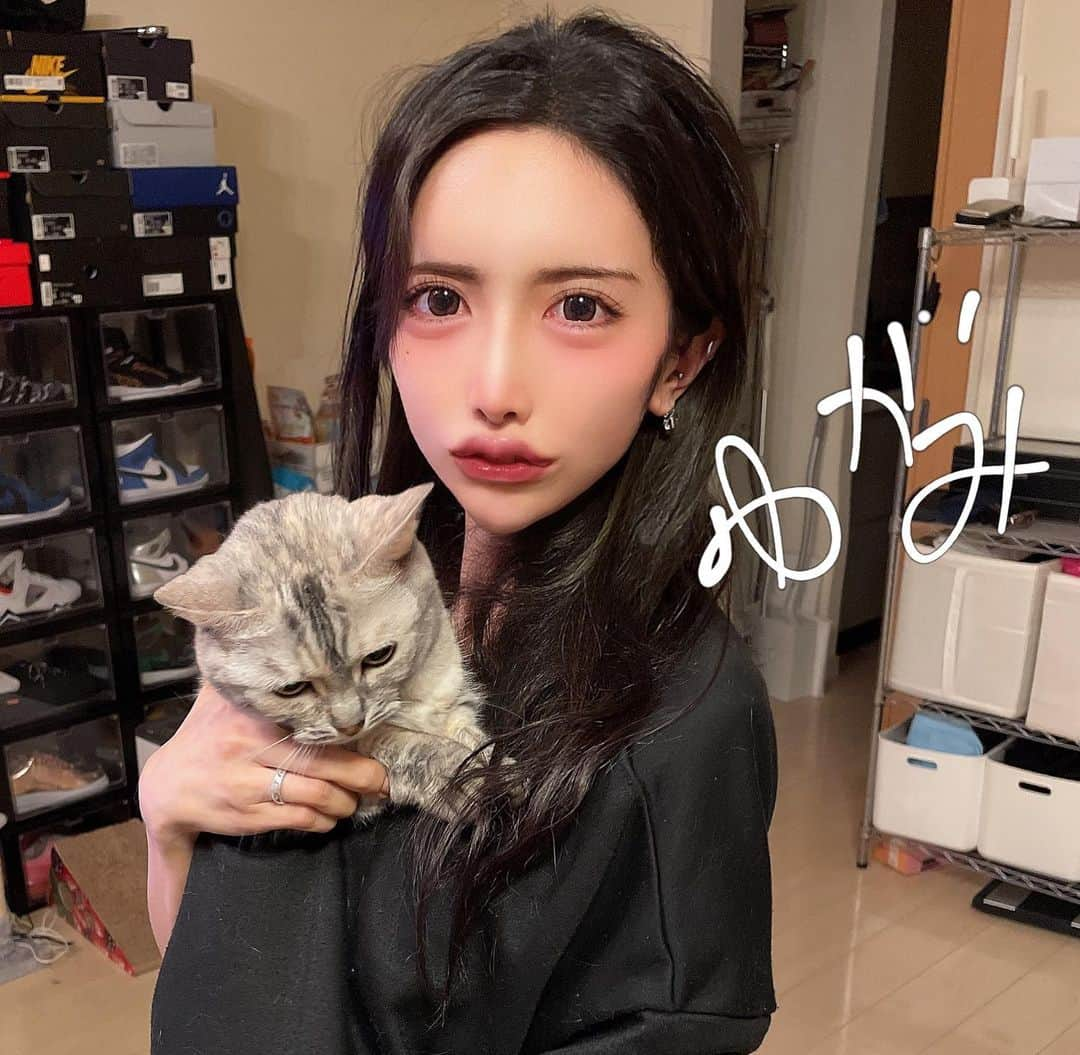 上條唯さんのインスタグラム写真 - (上條唯Instagram)「きっちょむを服の中に入れてみました。 . #猫 #猫のいる暮らし #猫好きさんと繋がりたい #猫との暮らし #猫好き #猫部 #猫のいる生活 #猫がいる生活 #猫と暮らす #猫大好き #猫写真 #猫すたぐらむ #cat #catstagram #マンチカン #マンチカン短足 #マンチカン子猫 #マンチカン部 #マンチカン好き #ねこ #ねこすたぐらむ #ねこのいる生活 #munchkin #ねこと暮らす #ねこばか #ねこ部 #ねこすた #🐱 #🐈」6月9日 10時43分 - yui_kamijo