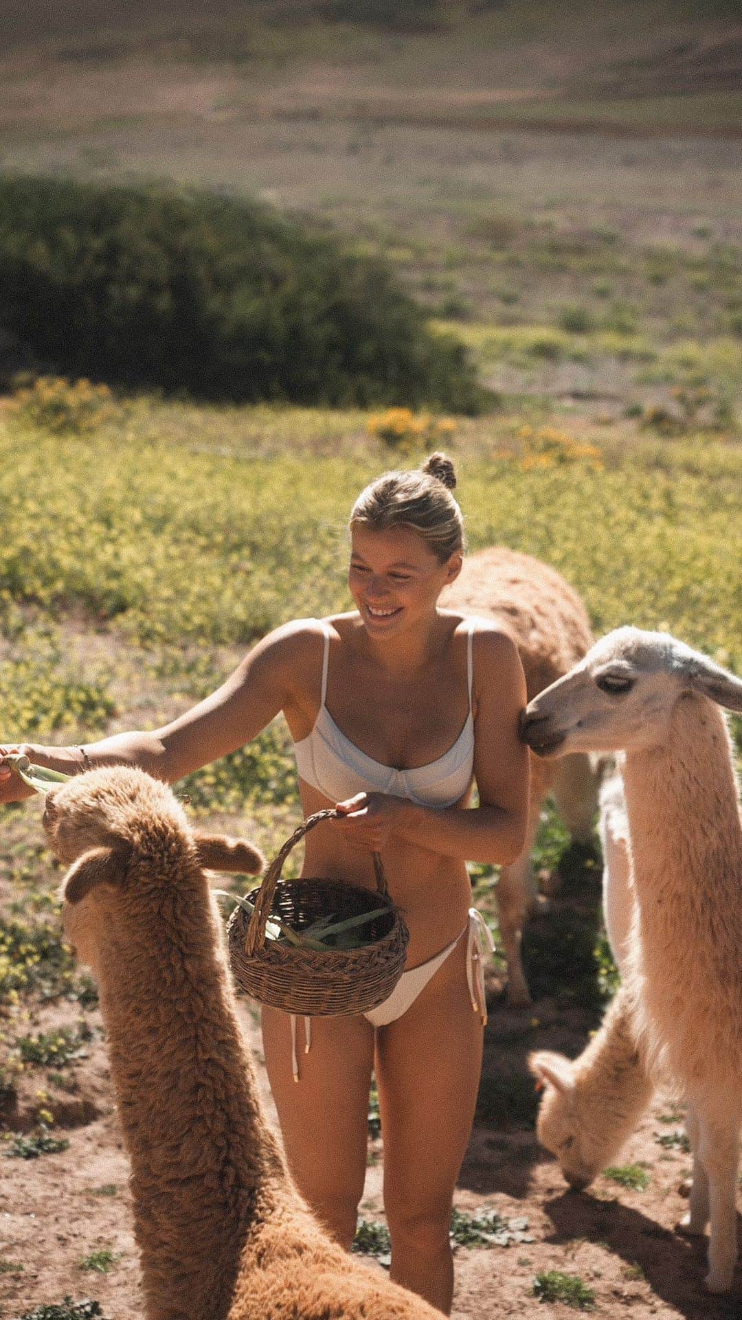 アビー・ネフのインスタグラム：「POV: when they ask if you want llamas with your breakfast #peru @mountainviewexperience 🇵🇪🦙」
