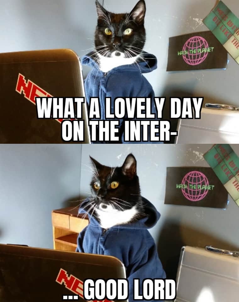 猫コスプレさんのインスタグラム写真 - (猫コスプレInstagram)「*logging on to browse after crafting in the workshop most of the day*  #catmemes #meme #dearlord #yallcrazy #memes」6月9日 11時29分 - cat_cosplay