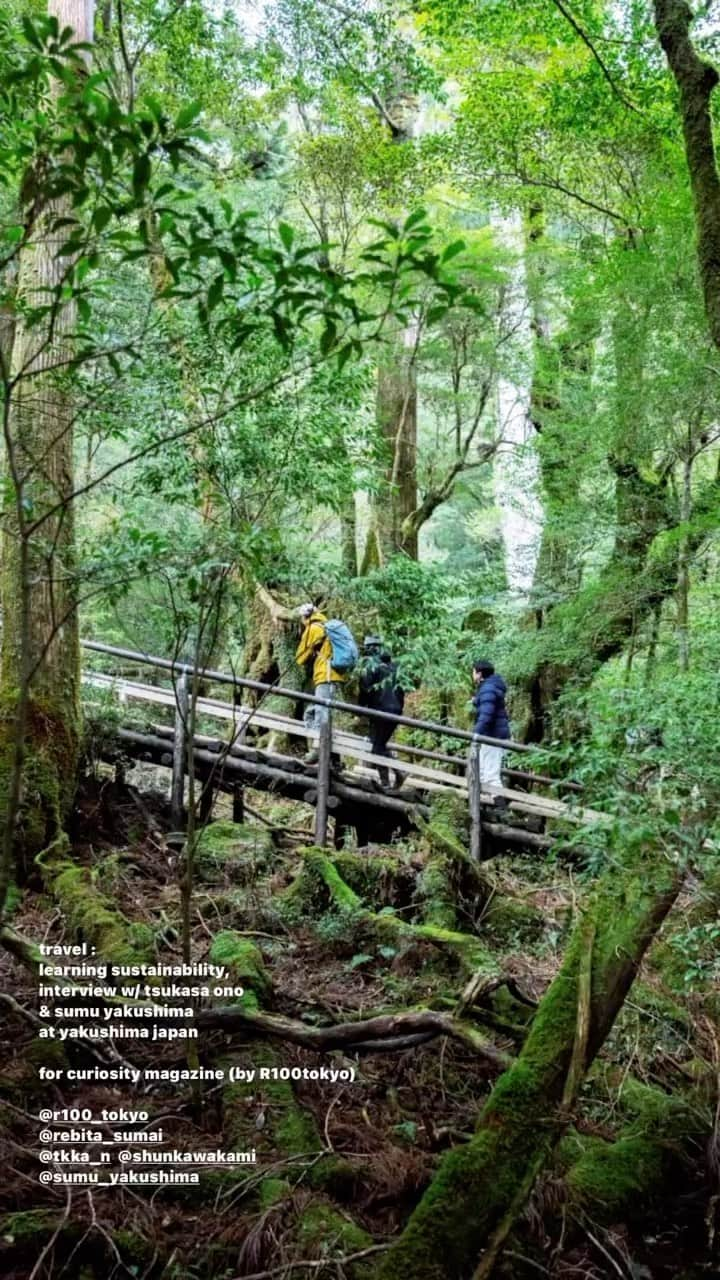 川上俊のインスタグラム：「Research & Interview travel : learning sustainability at yakushima japan for curiosity magazine (by R100tokyo)  #屋久島  以前から屋久島の自然環境や循環についてを学び感じるために行ってみたいと想っていた場所。苔むす森に降る大量の雨が水の循環を生み、生命の息吹と太古の自然を残す世界遺産の島・屋久島。そして、その屋久島にある実験的宿泊施設「Sumu Yakushima」。  沖縄での滞在の後、飛行機を乗り継いで屋久島／Sumu へ。  発案者で設計者の小野 司さん、同じく発案者で島の自然や営みをレクチャーしている今村祐樹さんを訪れ、自然と対話する方法や価値観についてを教わった。そんな印象と記憶が残っています。  ー  Learning the Cycle of Life in Yakushima 「屋久島で命の循環を学ぶ」 |  Curiosity   R100 tokyoがブランドビジョンに掲げる言葉「Quiddity｜本質的」はどこにあるのか。手がかりを求めて屋久島の自然と時間を体験する旅に出た。  https://r100tokyo.com/curiosity/essence/230502/」