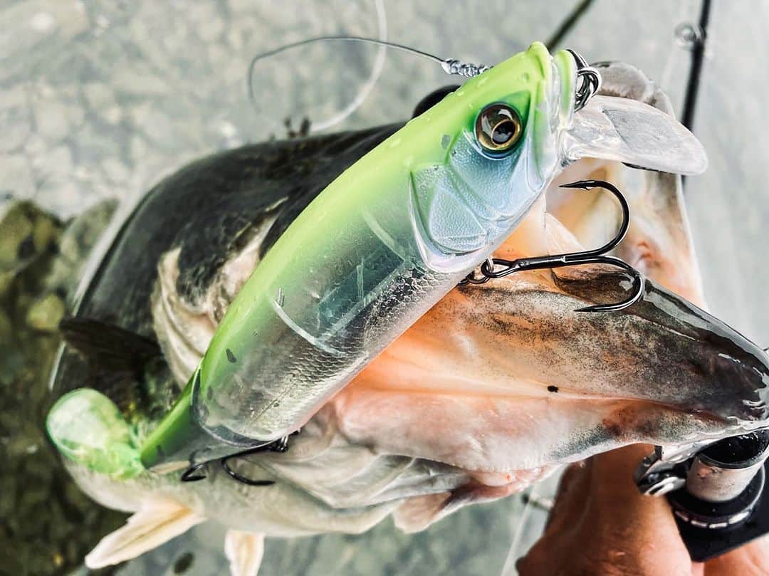 Megabass Inc.のインスタグラム