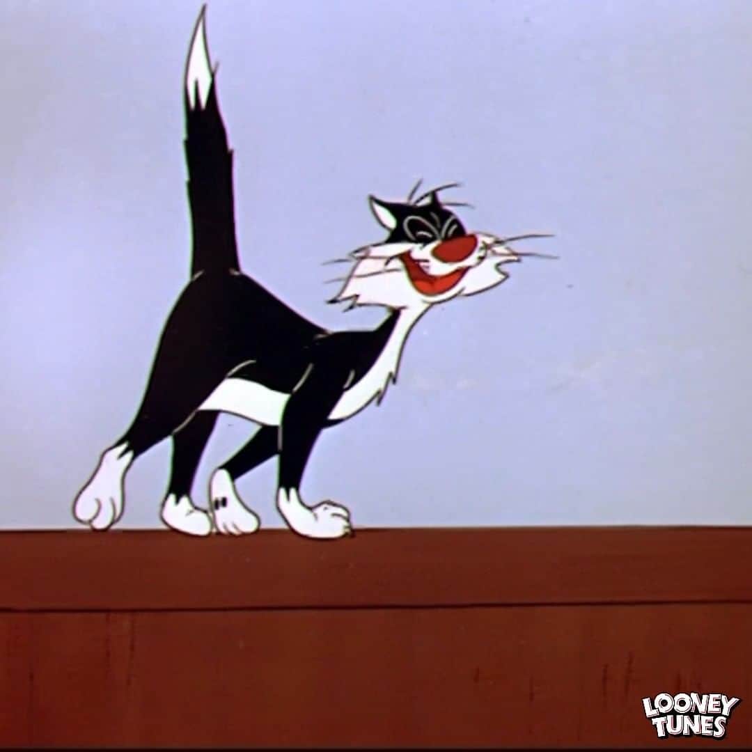ルーニー・テューンズ公式のインスタグラム：「今日(6月9日)は「#ロックの日」🎸  ／ 猫はみな歌うよ♬ みゃ～お♬みゃ～お♬ ＼  シルベスターはロックスター気分でノリノリです🎶 #ルーニーテューンズ #シルベスター #トゥイーティー #looneytunes」