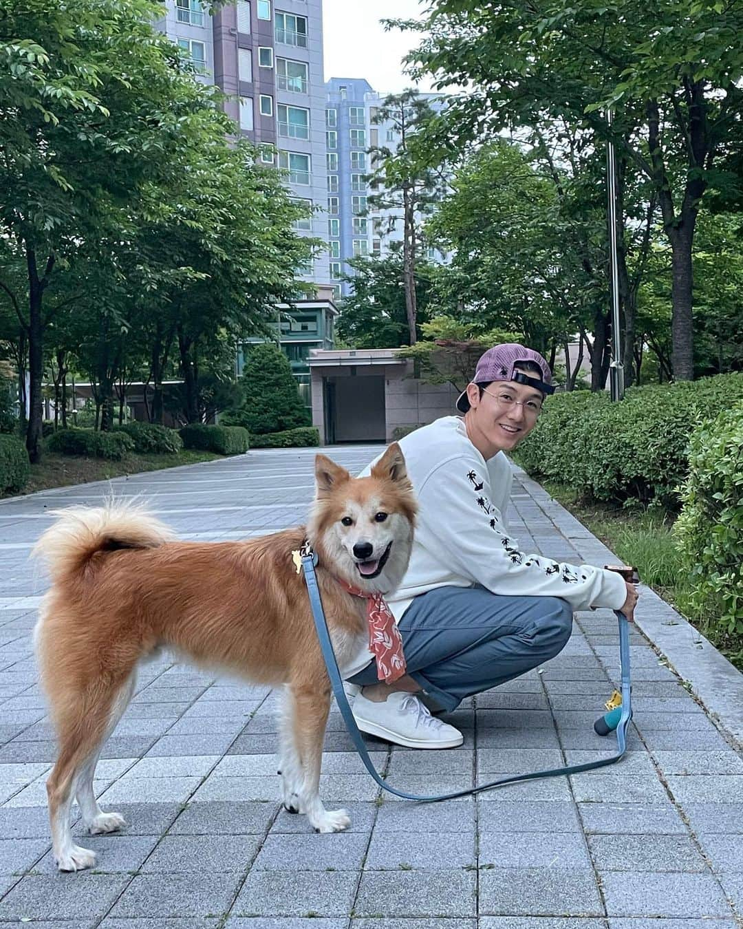 イ・ギウさんのインスタグラム写真 - (イ・ギウInstagram)「🙋🏻‍♂️🦊 날씨 좋은 금요일!!! 임보 중인 막내 제리도 잘 지내주고 있고 무엇보다 예상치도 못했던 테디의 의젓한 행동 하나하나에 많은 걸 느끼고 배우는 요즘. 나는 어떤 휴먼이 되어야 하는가..🤔 를 생각하게 되는 너무 소중한 기회를 얻은 것 같다.  동물에게 배운다. 고마워 테디! 모두 즐거운 금요일 보내세요!!  #기우리 #시고르테디 #특급브로맨스  #남바투티셔츠감사합니다🙋🏻‍♂️ #좋은하루 #동물에게배운다  #사지마세요입양하세요」6月9日 12時20分 - lee_kiwoo